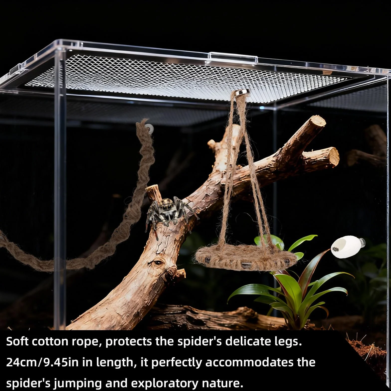 Zestaw Akcesoriów do Terrarium dla Pająków Skaczących 3 szt. Huśtawka z Bawełnianej Liny Platforma Gniazdo Dekoracja