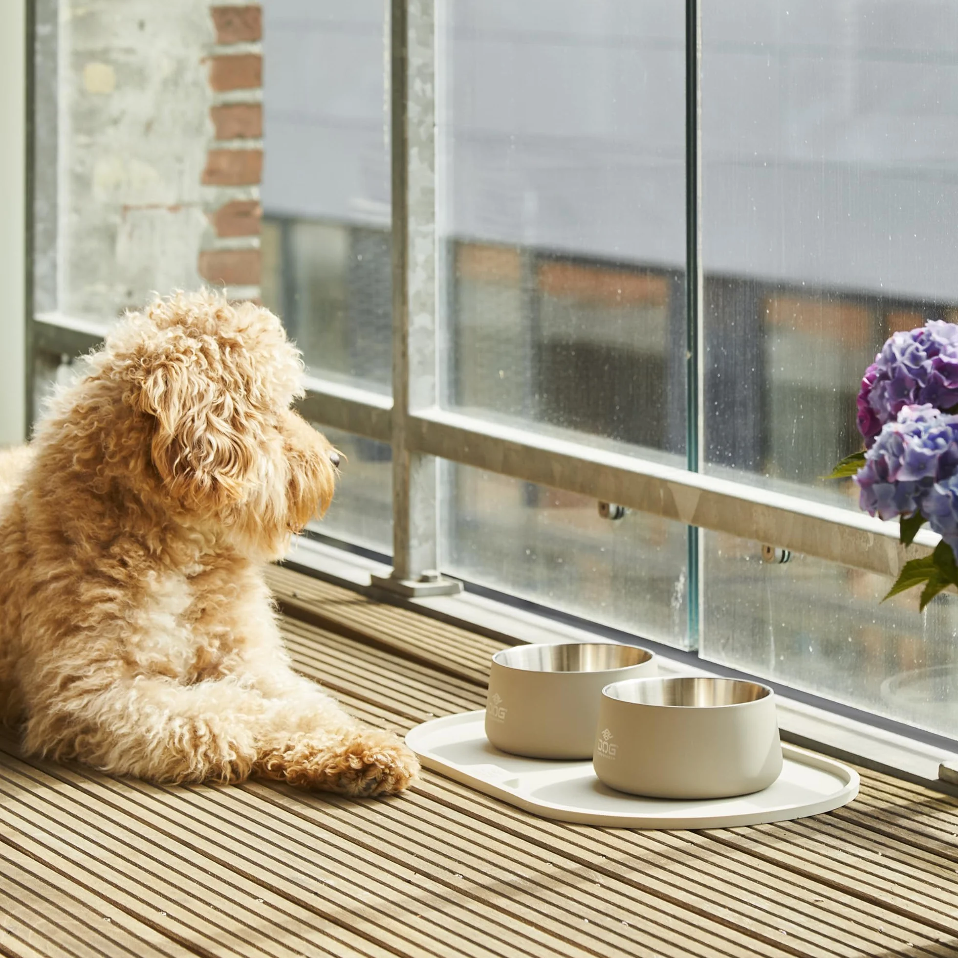 DOG Copenhagen Podkładka Waga Petrol Blue S