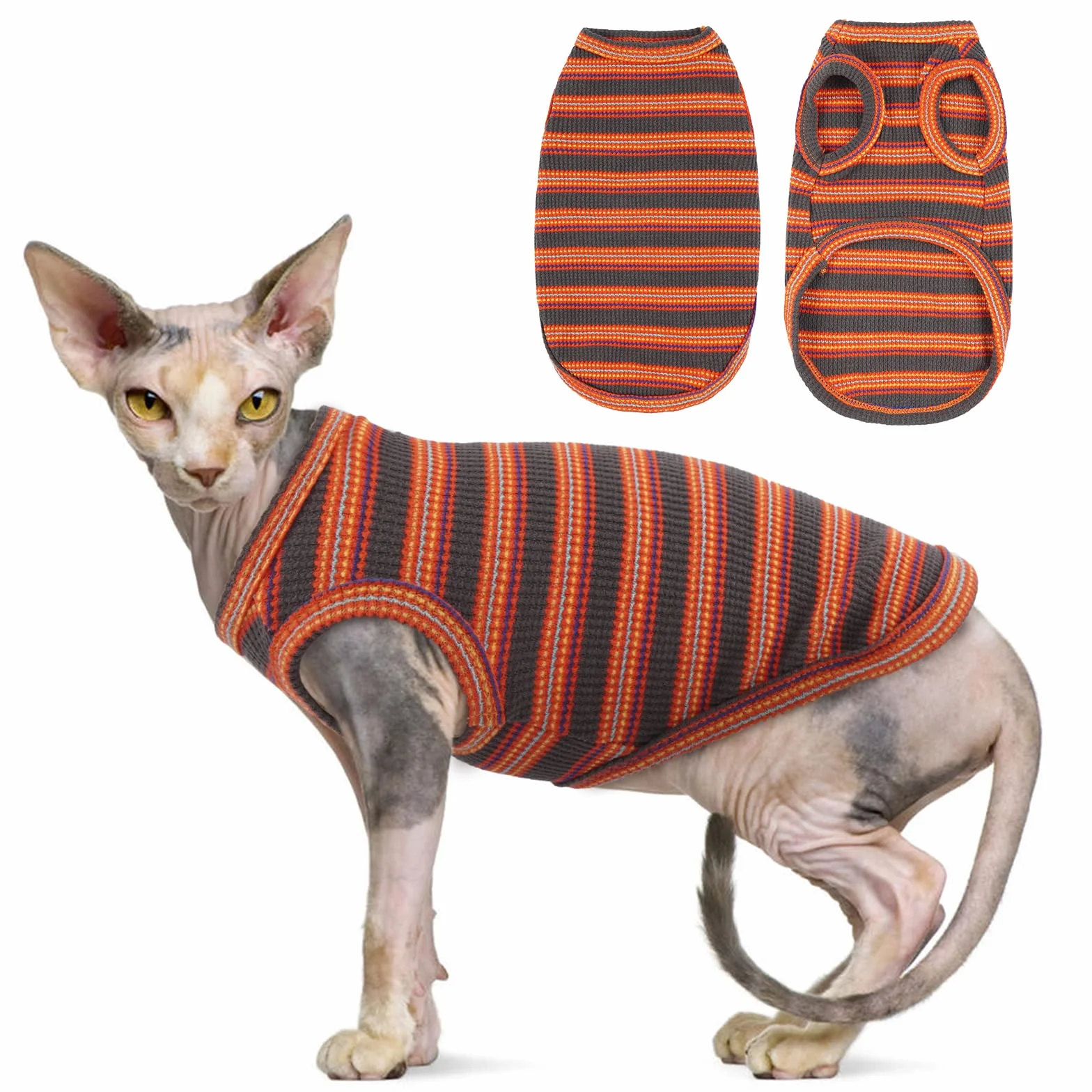 Oddychająca koszulka bez rękawów dla kota Sfinks, Cornish Rex, Devon Rex - letnia odzież w paski