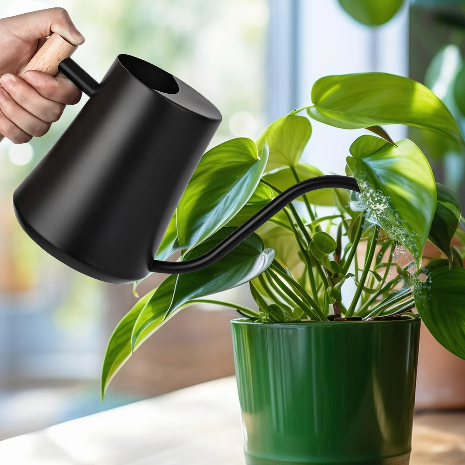 XTDMJ 1000 ml czarna konewka mała do roślin pokojowych, mini konewka ze stali nierdzewnej z długą wylewką, konewka ogrodowa do roślin pokojowych i sukulentów