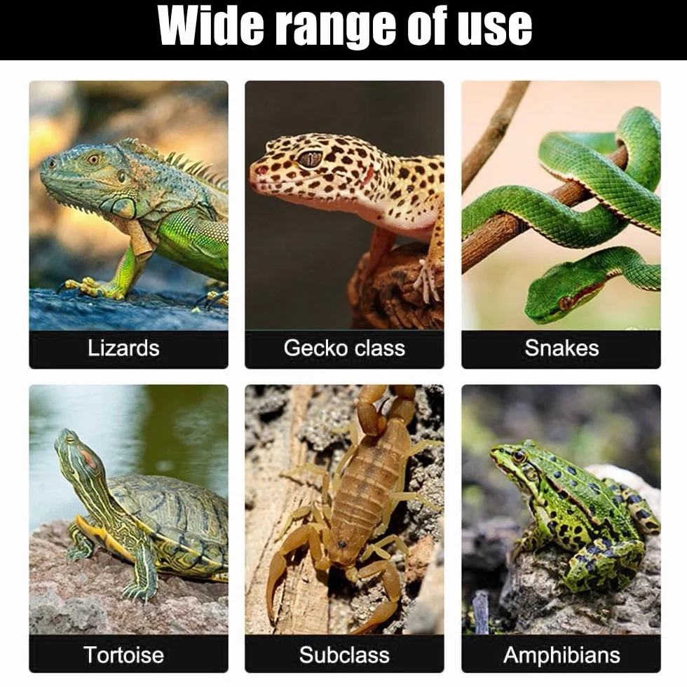 DONGKER Mata grzewcza dla gadów, USB 5 V, mata grzewcza, do terrarium, temperatura terrarium, płazy, mata dla zwierząt domowych, mata do terrarium węży, jaszczurek, żab