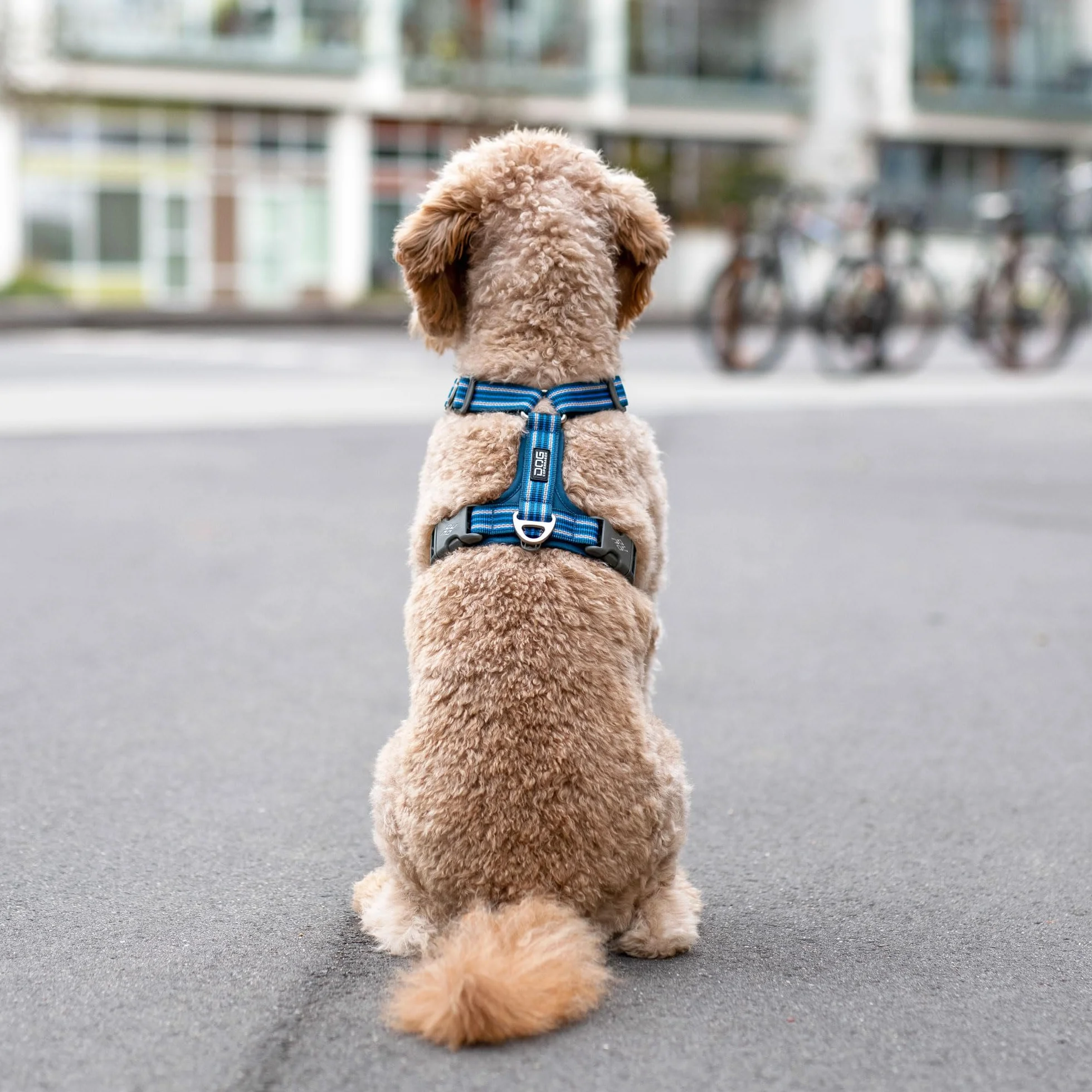 DOG Copenhagen Comfort Walk Air 3.0 Uprząż, M, pomarańczowe słońce