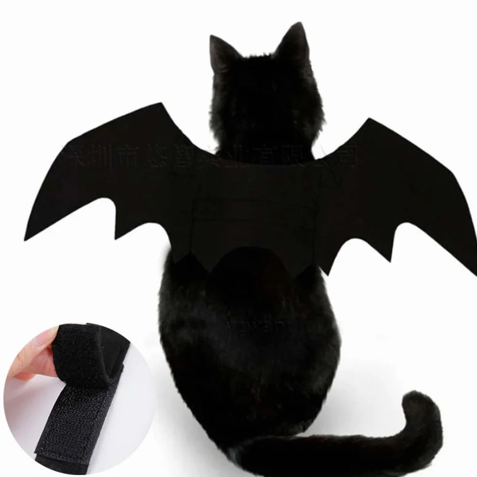 Kostium kota na Halloween skrzydła nietoperza dekoracja dla psa rozmiar S