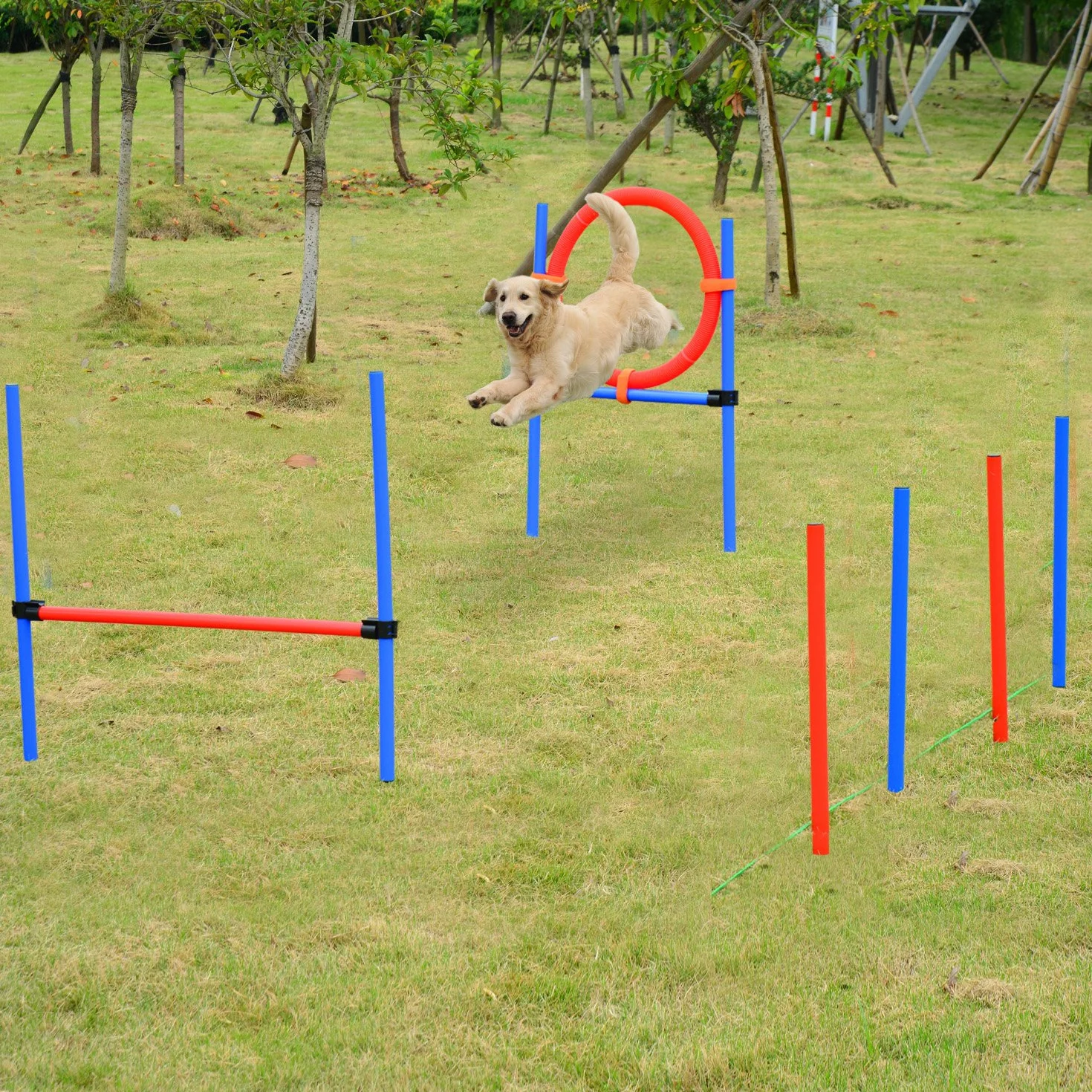 PawHut Agility Sport dla psów kompletny sprzęt przeszkodowy i treningowy, 11 sztuk, pole zwinności dla psa ze stalową torbą transportową czerwono-niebieską
