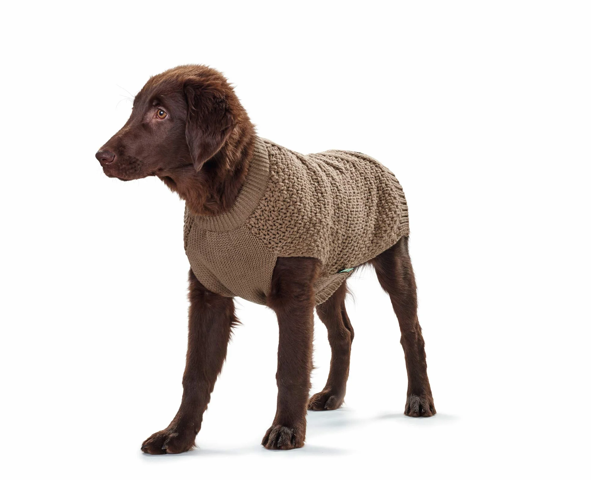 HUNTER Malmo Sweter dla psa, 40 cm, beżowy