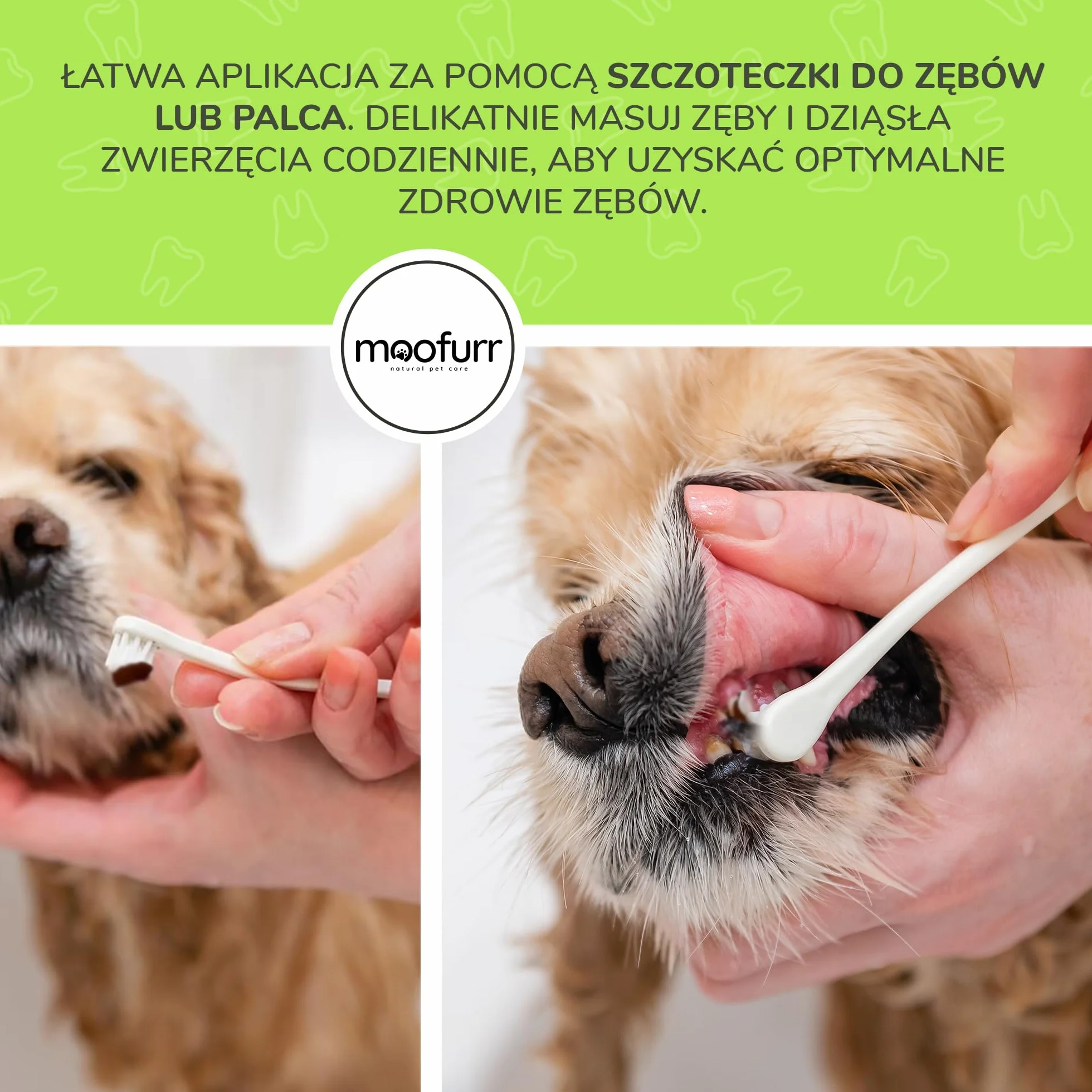 Pasta do zębów dla psów, w 100% naturalna, przeciw kamieniu nazębnemu, usuwaniu płytki nazębnej, pielęgnacja zębów dla psów