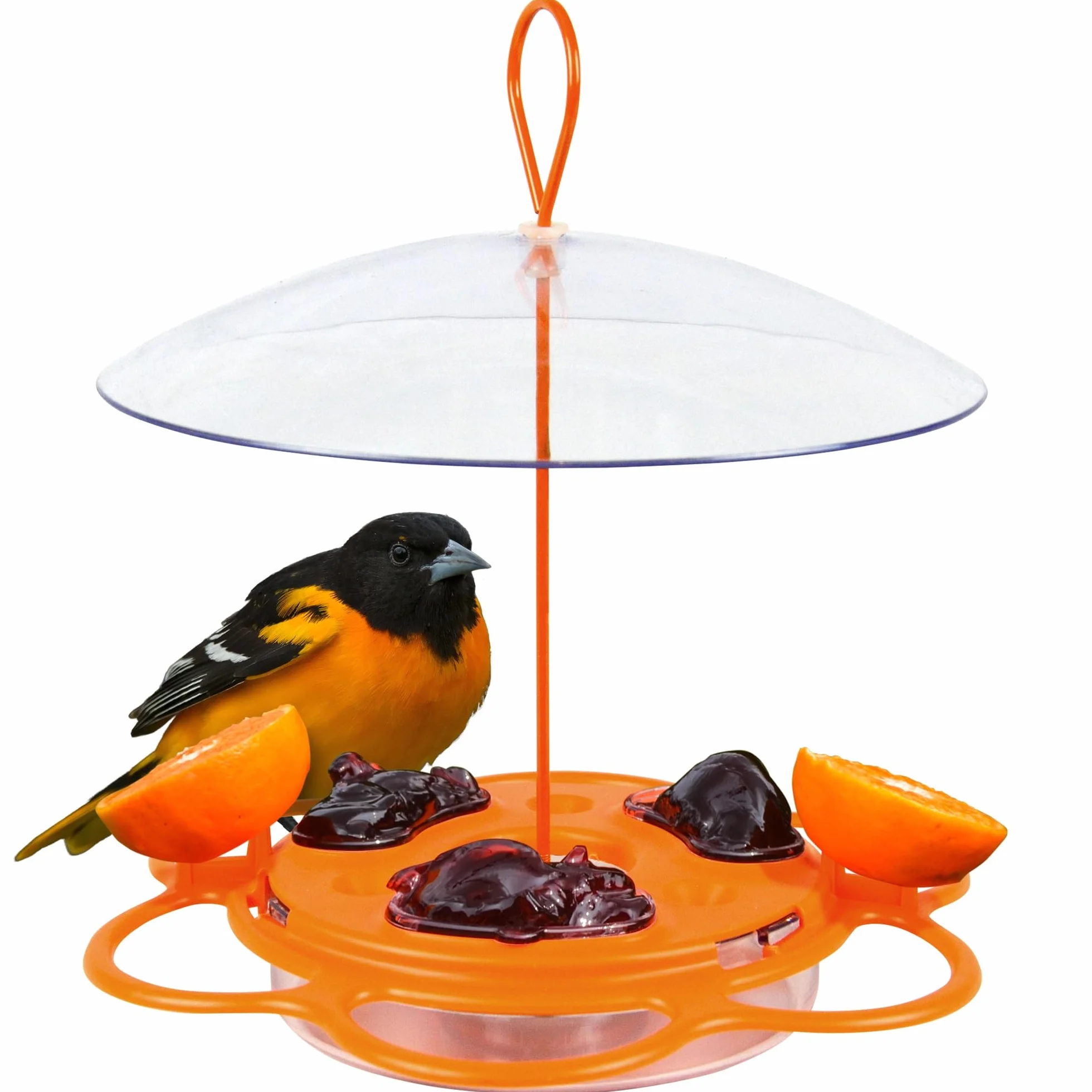 Nature's Way OFP1 All-in-One Oriole Buffet karmnik dla ptaków, pomarańczowy