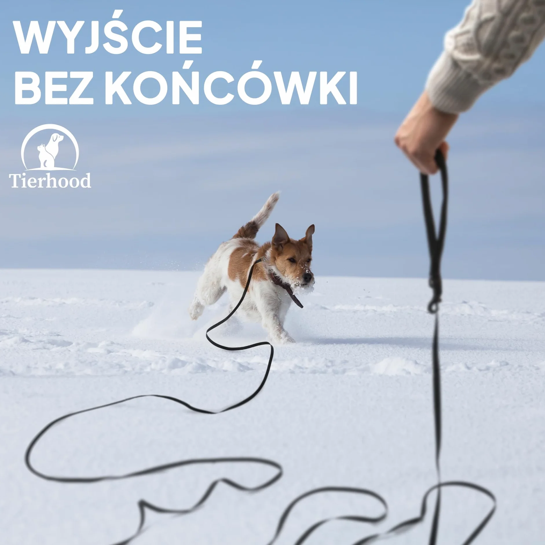 Tierhood Smycz dla Kotów 5 m / 10 m / 15 m - Bardzo Lekka z Paskiem na Rękę - Długa dla Maksymalnej Swobody - Rozmiar: 10 m