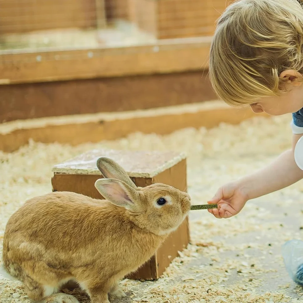 Zabawki do żucia dla królików 50 szt. kijów siana Timothy zestaw