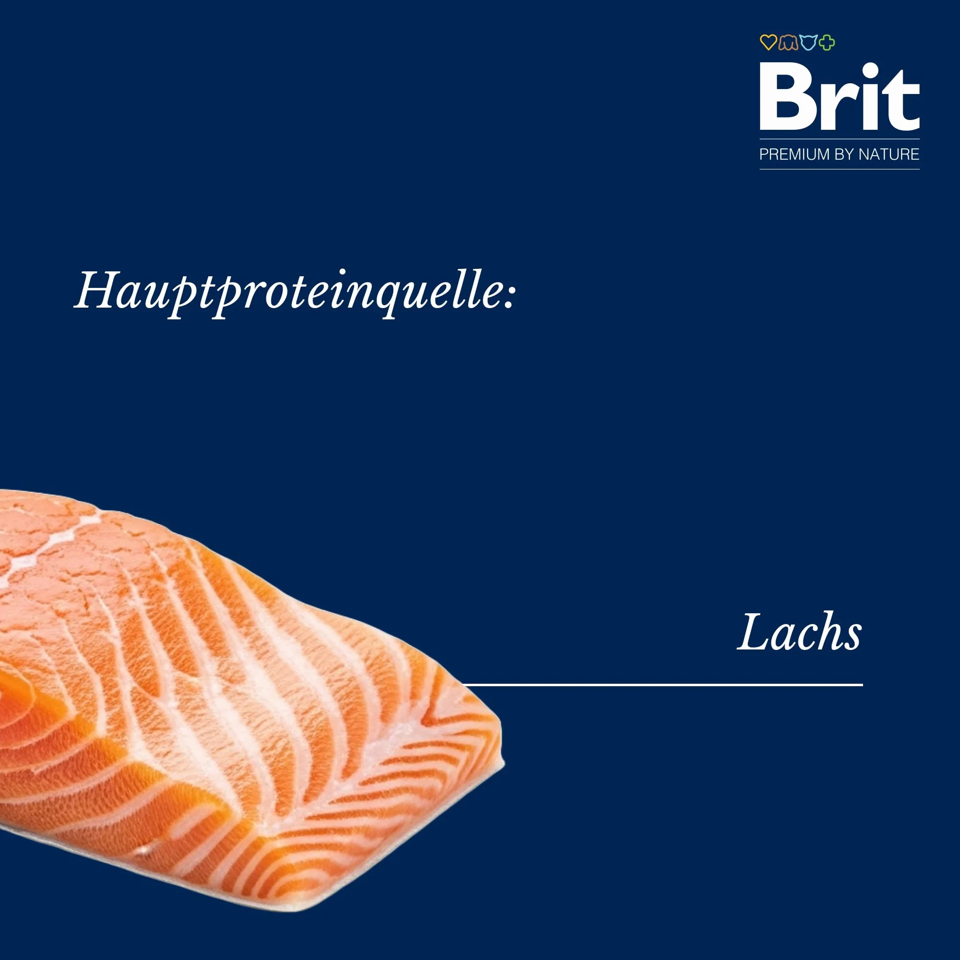 Brit Premium by Nature Dog półmokre przekąski z łososiem i koperkiem, przysmaki dla psów na trawienie i układ odpornościowy, 180 g
