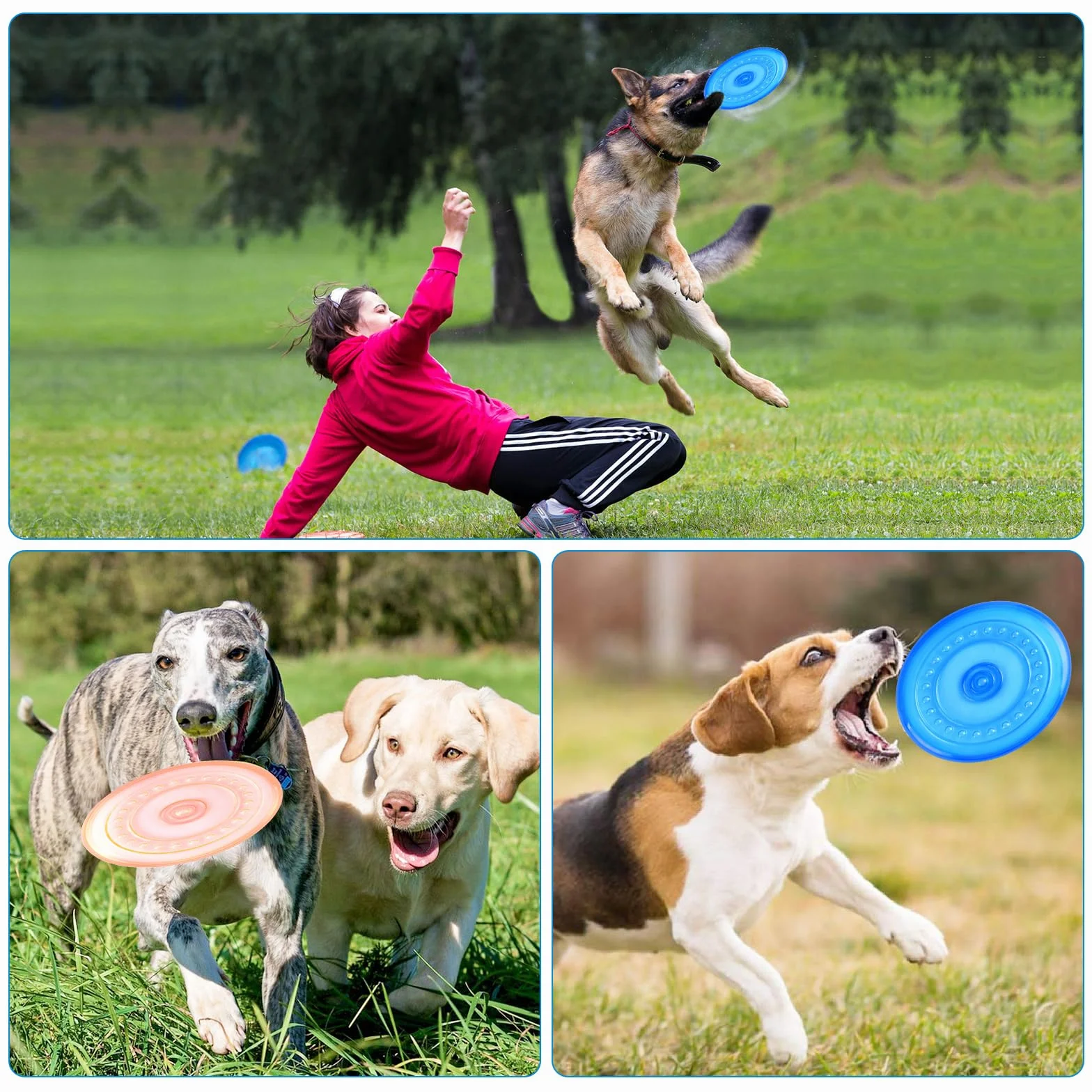 2 sztuki krążków dla psów, 18,5 cm, fryzura, z naturalnego kauczuku, frisbee dla psów na ląd i wodę, krążki do treningu psów, łapania, zabawy (niebieskie + pomarańczowe)