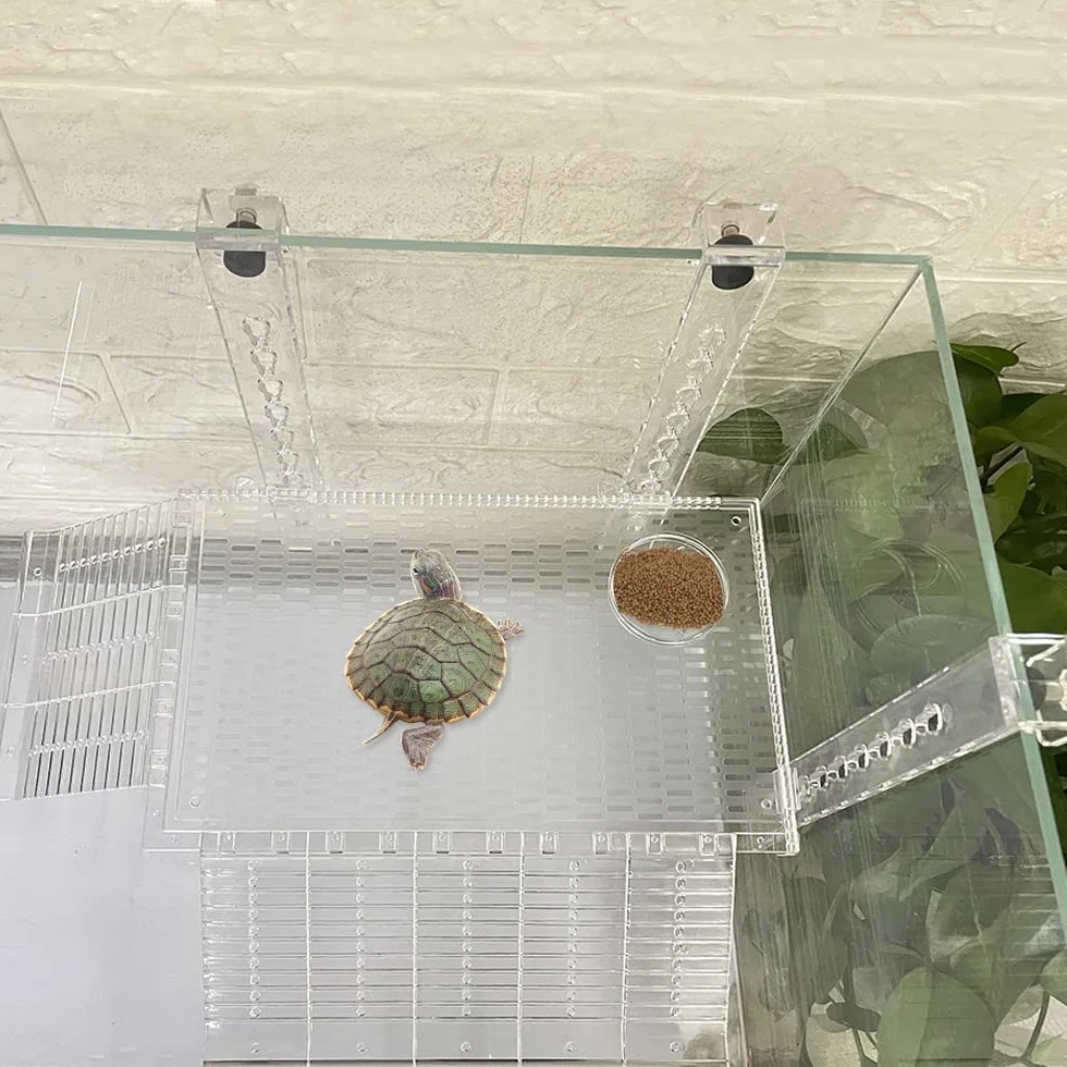 Platforma żółwie duży akryl terrarium akwarium słoneczne akcesoria dla gadów i płazów