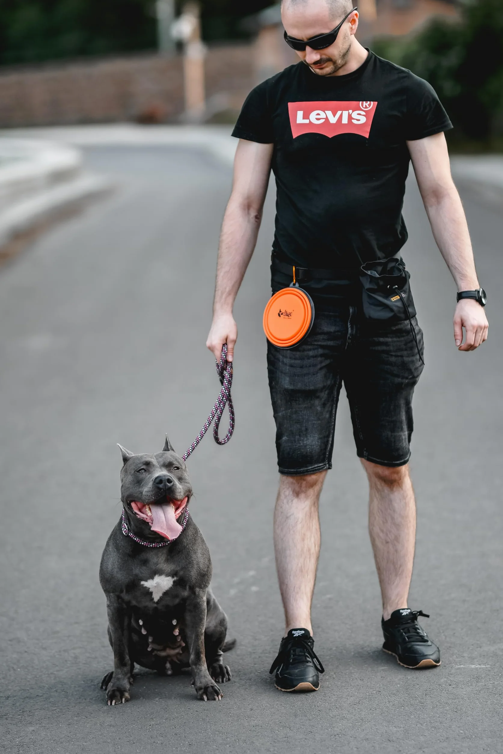 DINGO Miska podróżna dla psa z silikonu, z metalowym karabińczykiem, czarna krawędź, dodatkowo usztywniona, składana i lekka, pojemność 350 ml, pomarańczowa (14466)