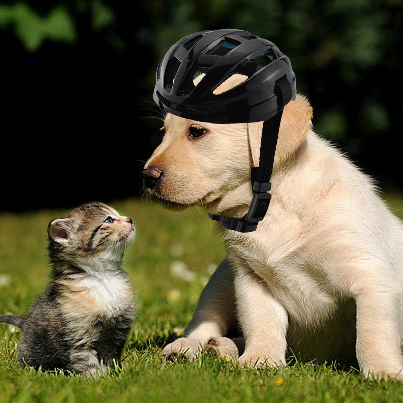 Generisch Kaski ochronne dla psów – kask ochronny motocykl, kask dla zwierz?t domowych z oddychaj?c? , regulowan? ta?m? ?wietln? z otworami wentylacyjnymi do jazdy motocyklu rowerze Cosplay