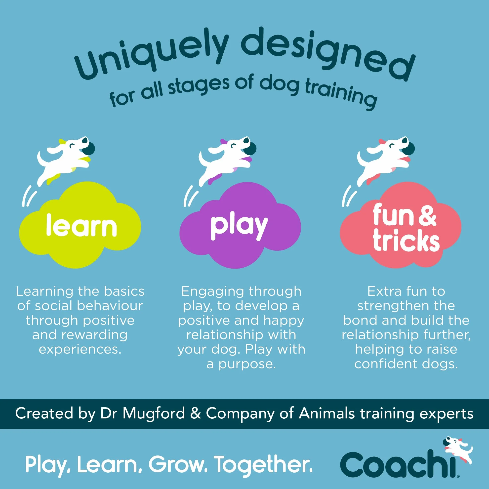 Coachi Training Dumbbell, Long Distance Throwing, Classic Retrieval Toy, Gundog Puppy Training, Super Tough, Medium Dogs