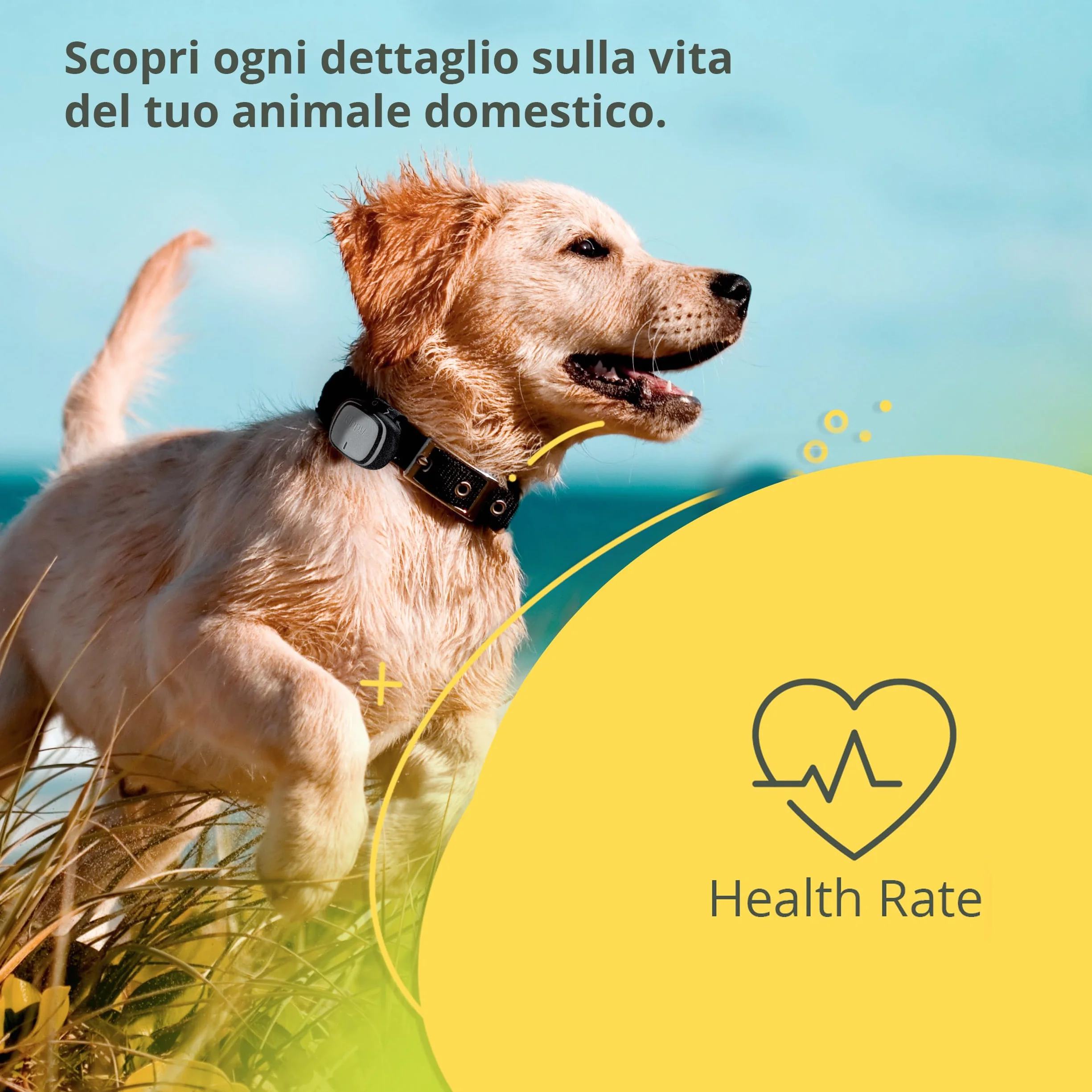 Kippy EVO Obroża GPS Monitor Aktywności dla Psa Kota 38g Wodoodporna Bateria 7 dni Kamiennoszary