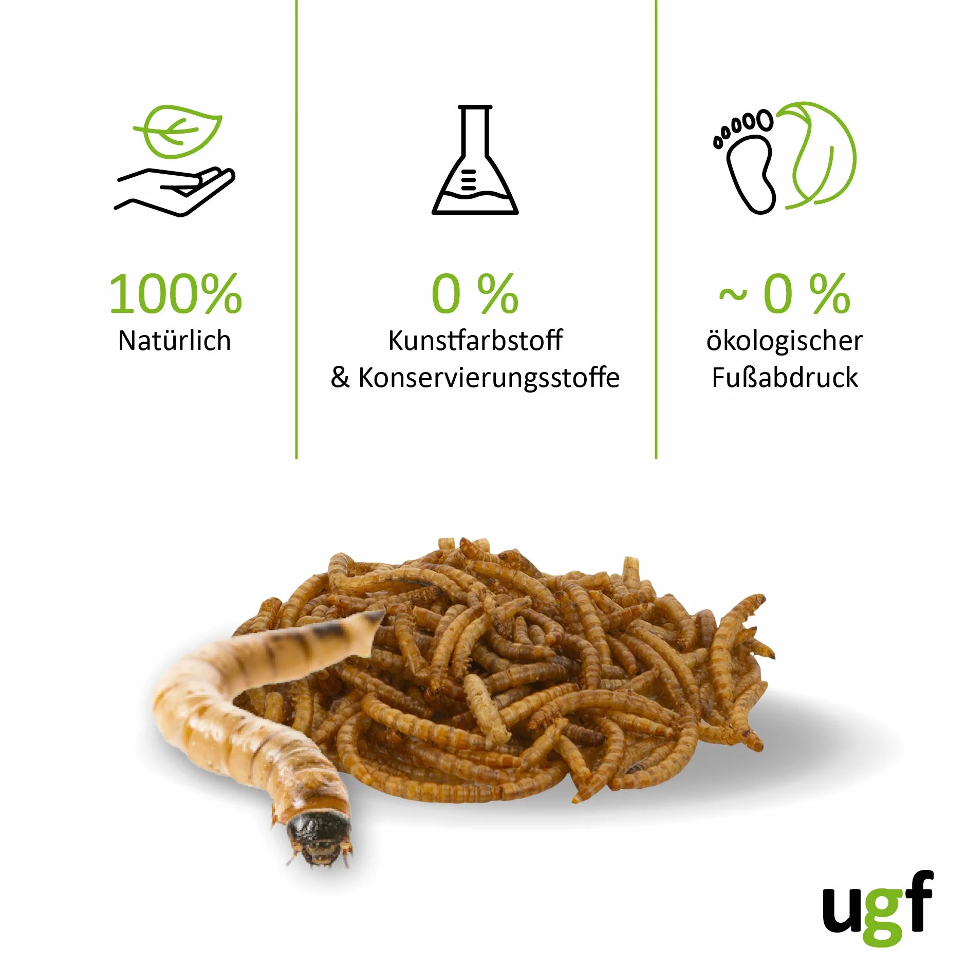 UGF - Premium suszone robaki mączne, 500 g, karma dla dzikich ptaków przez cały rok, karma dla jeży, karma dla wiewiórek, karma dla chomików