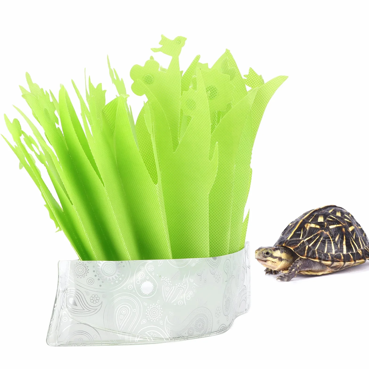 Nawilżacz do Terrarium System Zraszania dla Gadów i Płazów