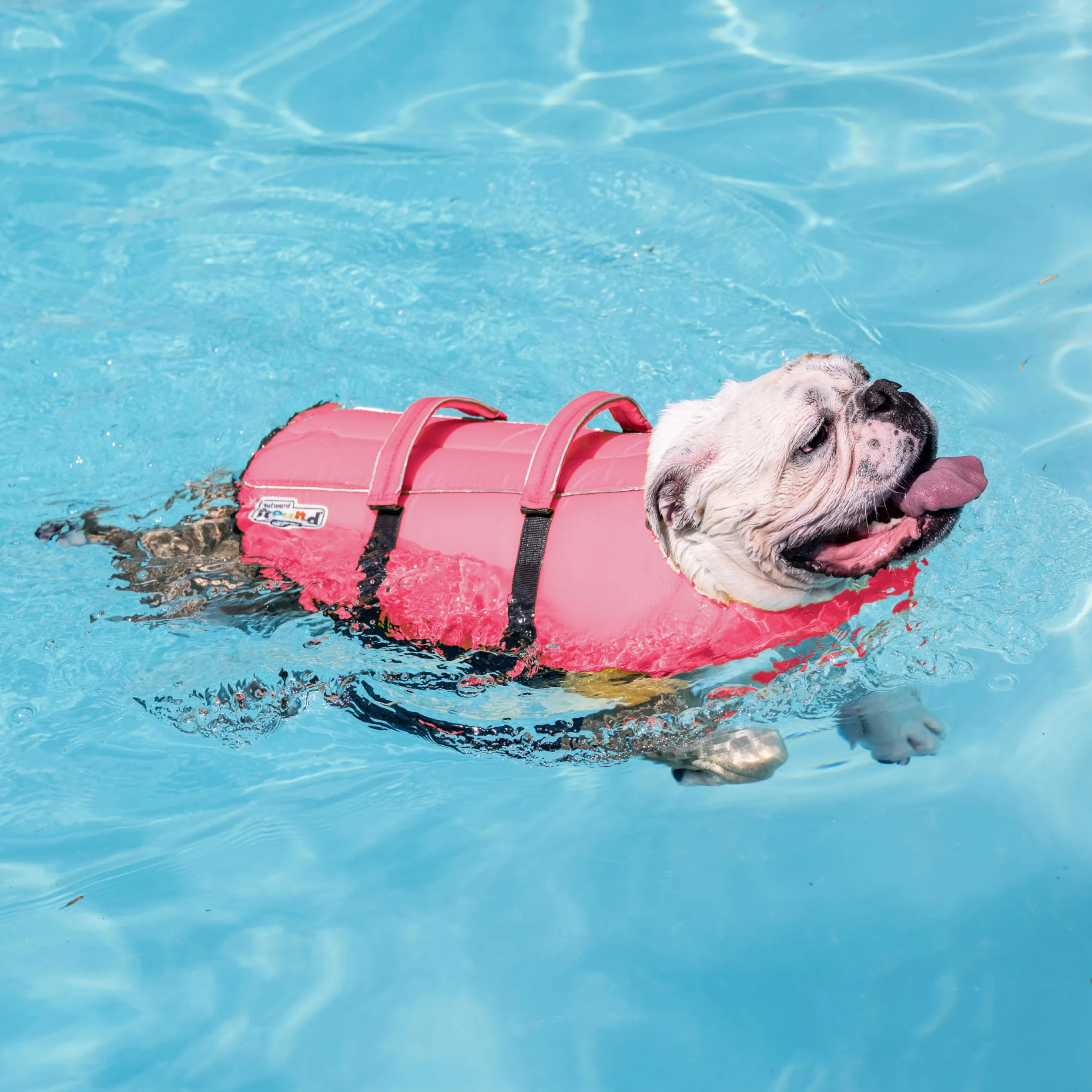 Outward Hound Granby Splash różowa kamizelka ratunkowa dla psa, XS