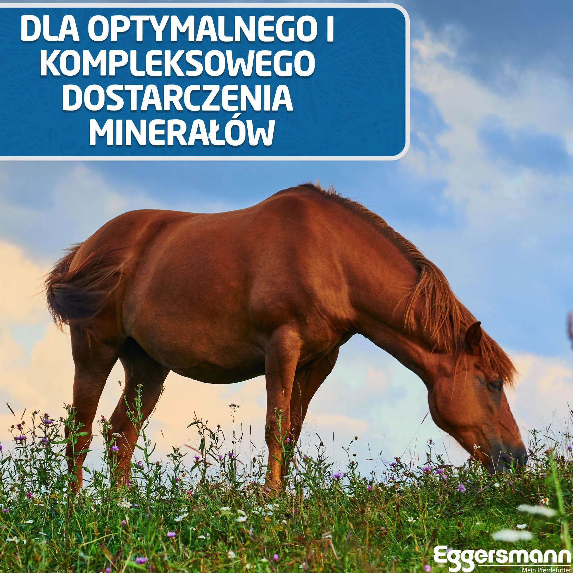 Eggersmann Golden Mineral - Karma mineralna dla koni i kucyków - suplement do podstawowej diety - 25 kg