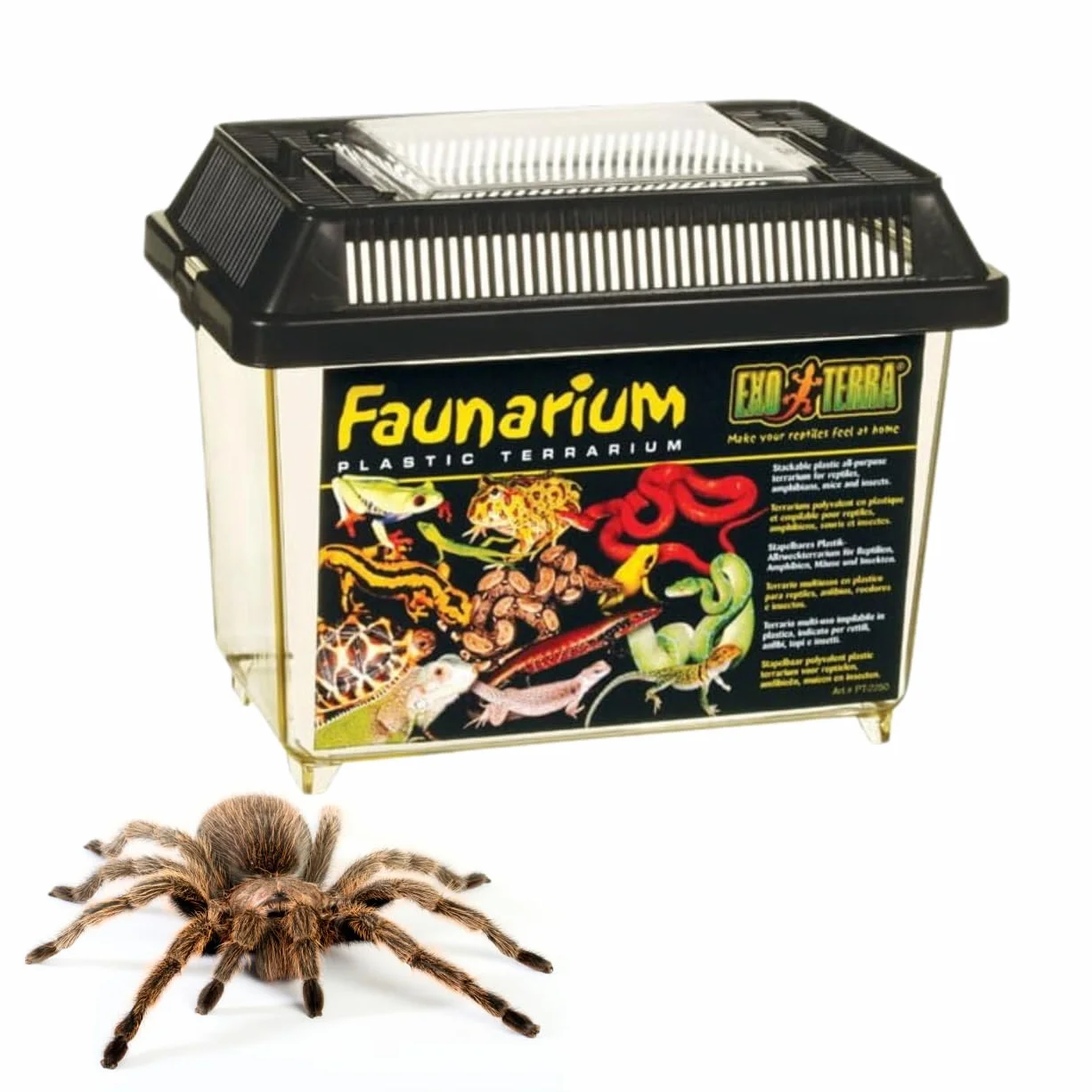 Exo Terra Faunarium Terrarium 37 x 22 x 25 cm czarne