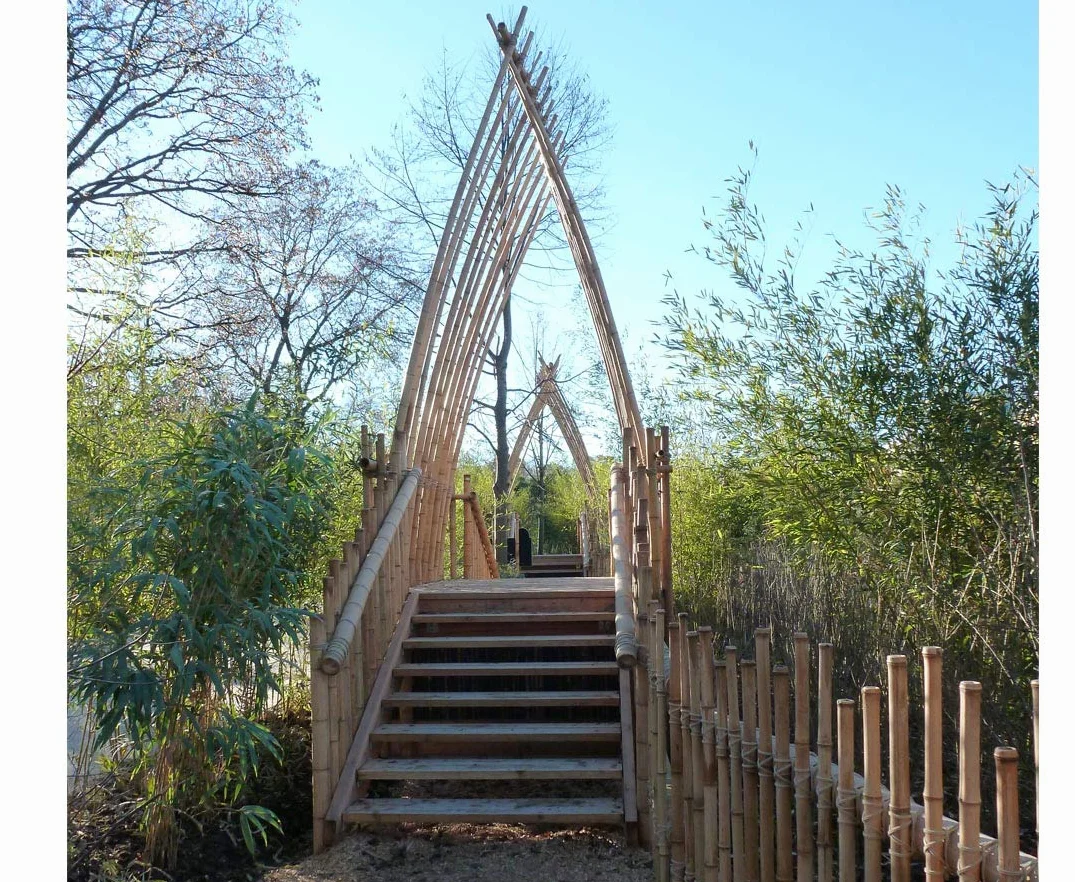 1 sztuka Moso rura bambusowa 200 cm, żółtawa o średnicy 4,5-6 cm – drążek bambusowy, wybielony, długość 2 m