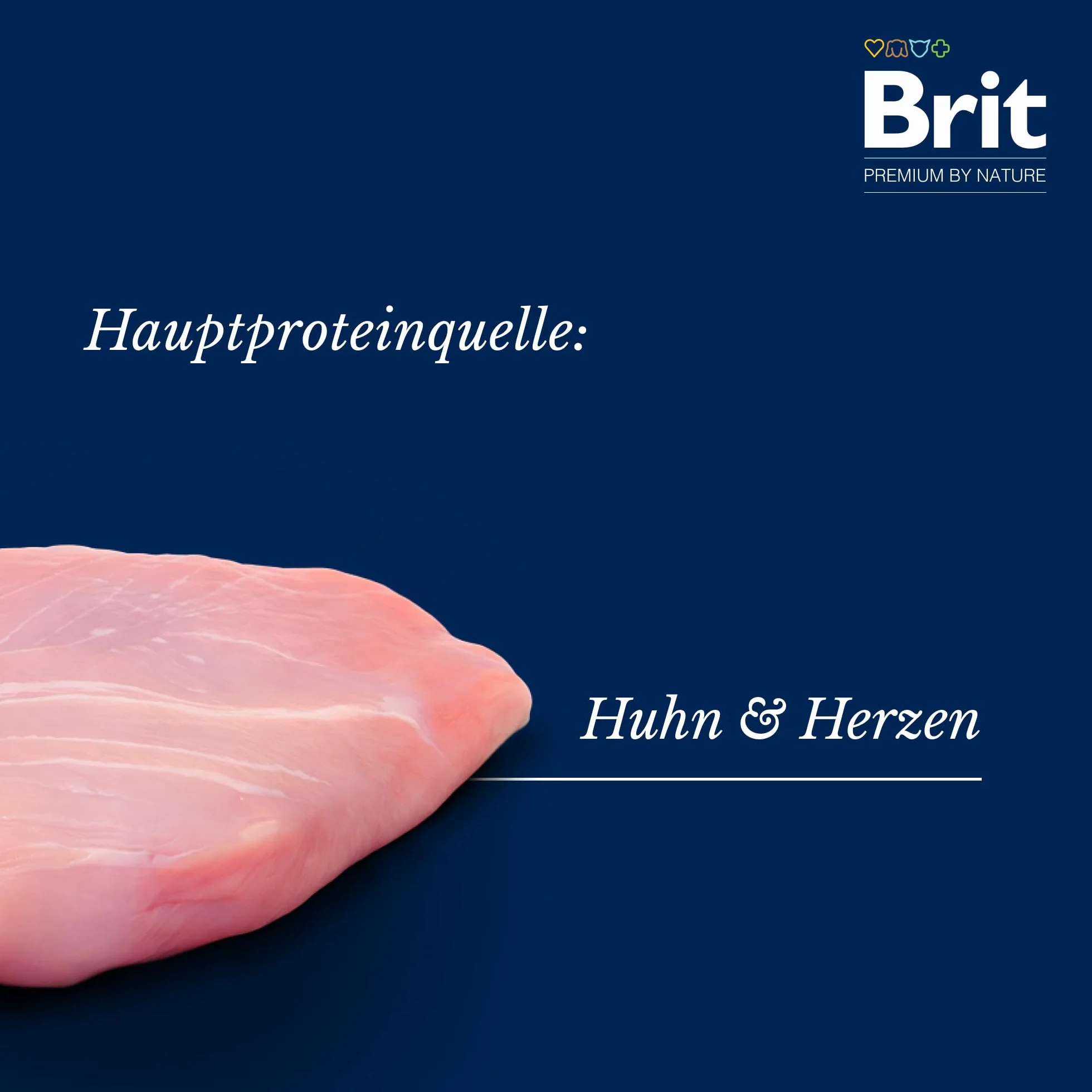 Brit Premium by Nature mokra karma dla dorosłych psów, kurczak z serduszkami z kurczaka, pojedyncza karma, 6 x 400 g