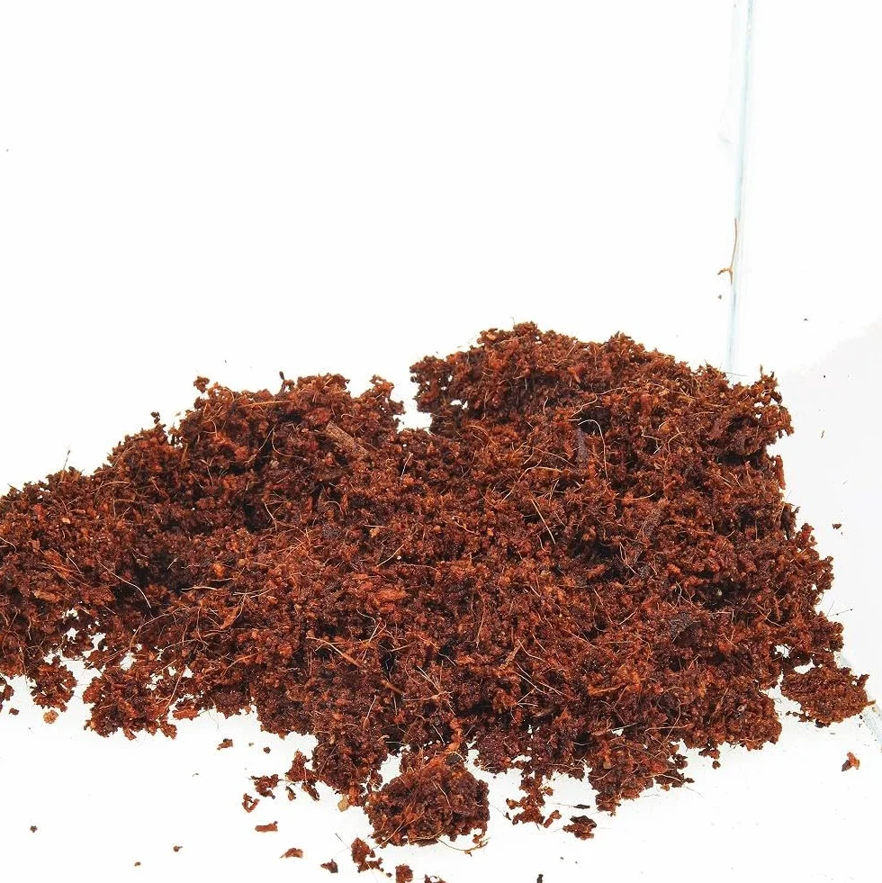 JBL 7102600 Podłoże do Wszystkich Rodzajów Terrariów, 600 g/9 l, Brązowy