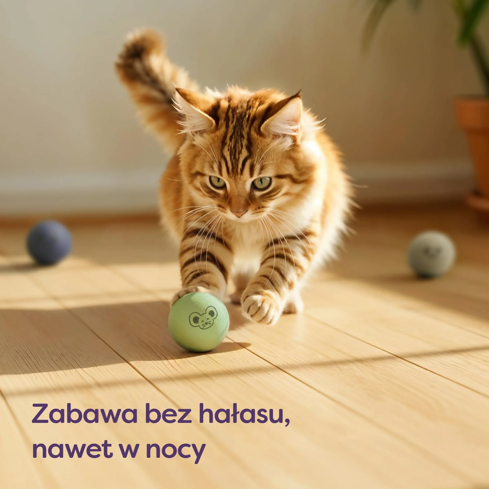 Knupis filcowe kulki dla kota 6 kulek z wełny ekologiczna zabawka w jasnych kolorach torba do przechowywania