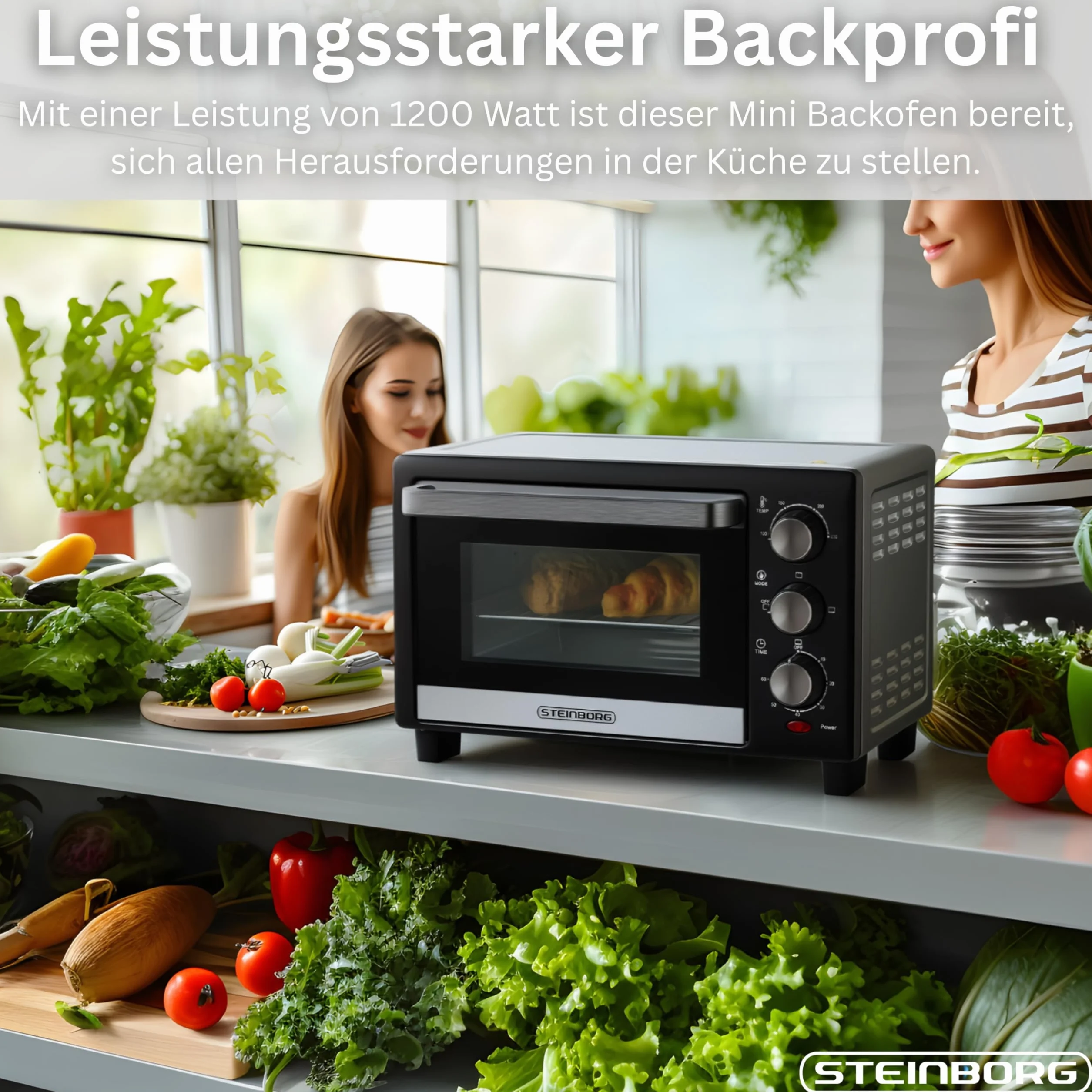 STEInBORG Mini piekarnik 15 l, piec do pizzy 3 w 1, mini piekarnik, blacha na okruchy, ogrzewanie górne/dolne, energooszczędny 60 min. timer