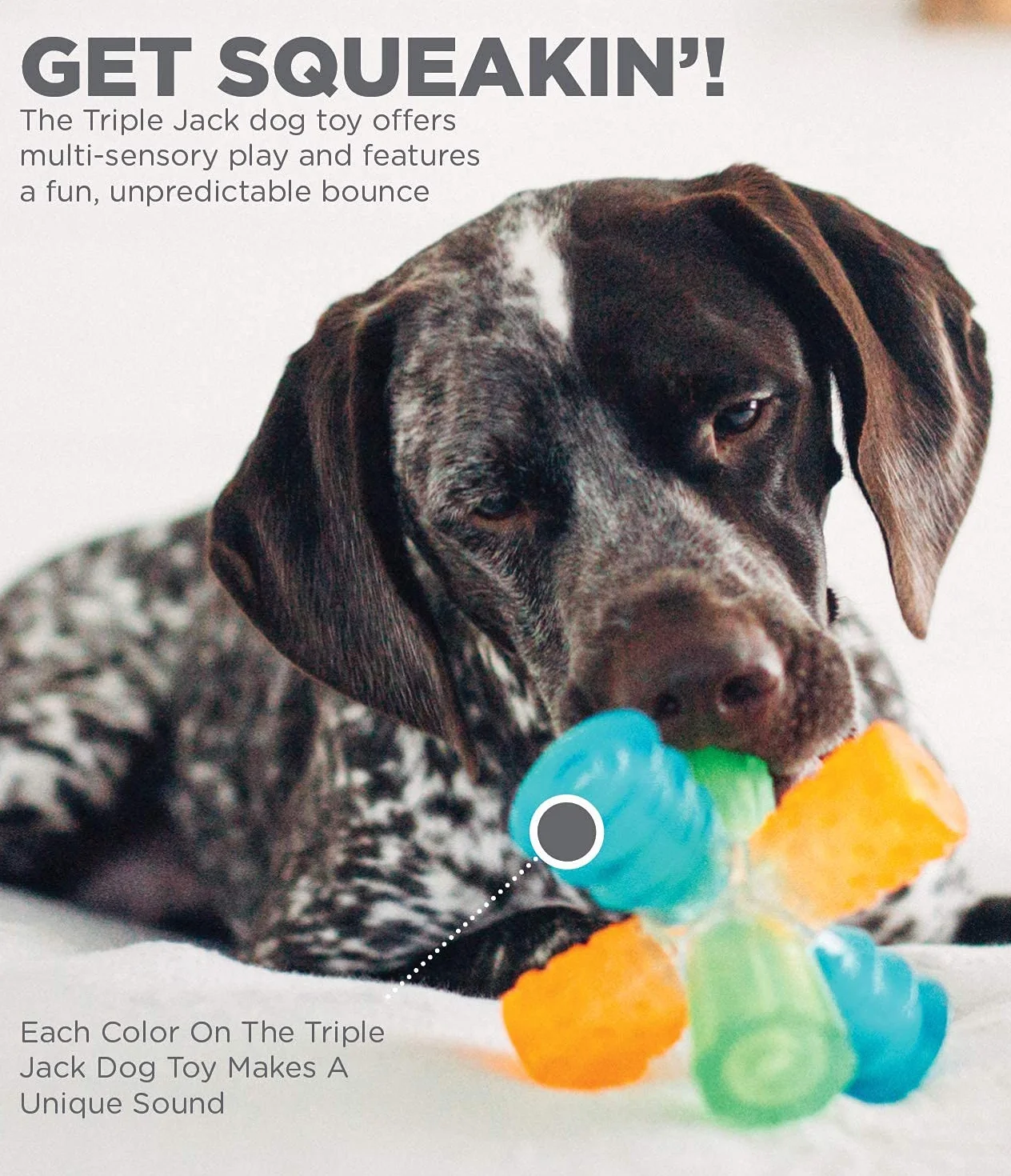 Outward Hound Triple Jack interaktywna zabawka dla psa