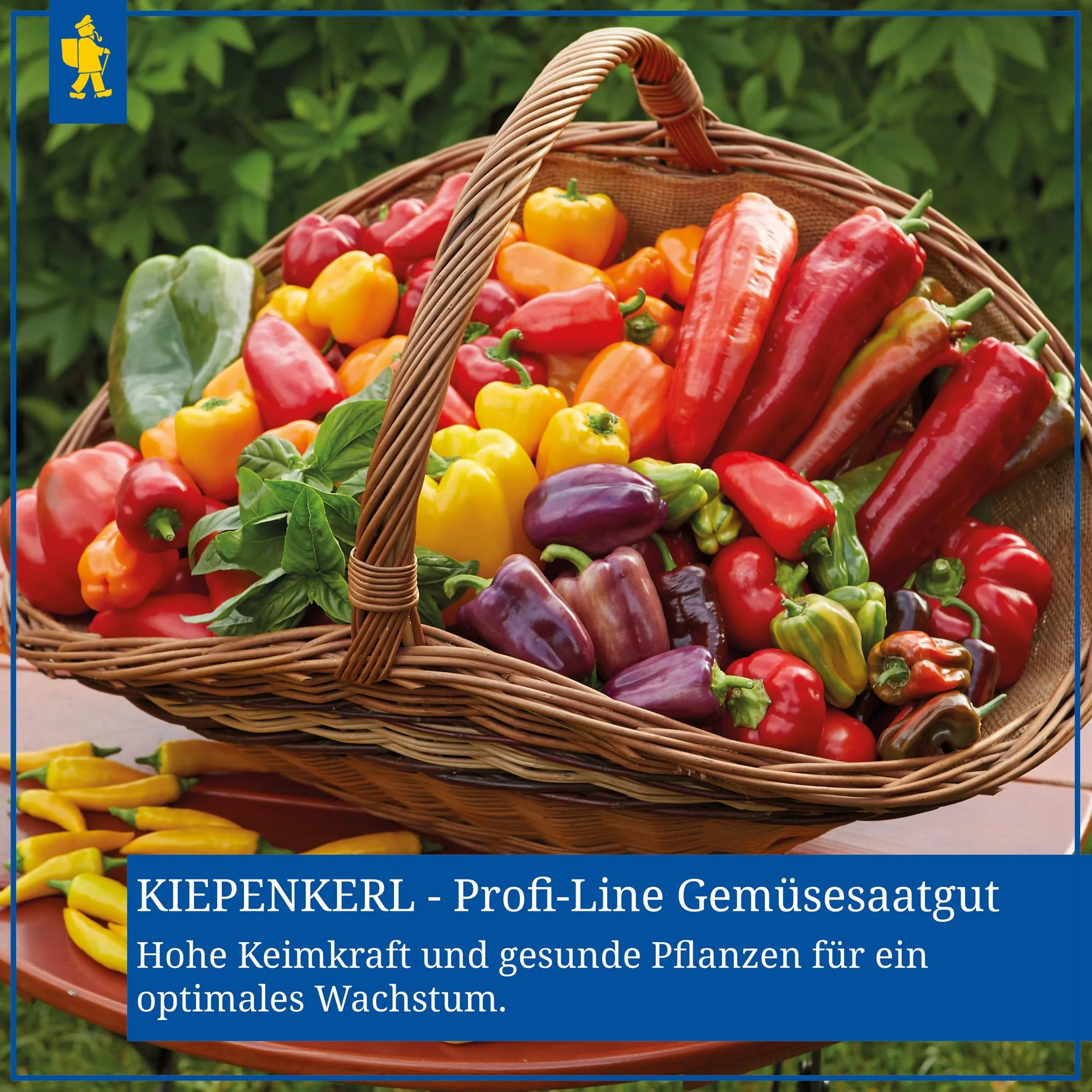 Kiepenkerl, Nasiona Pomidorów Harzfeuer