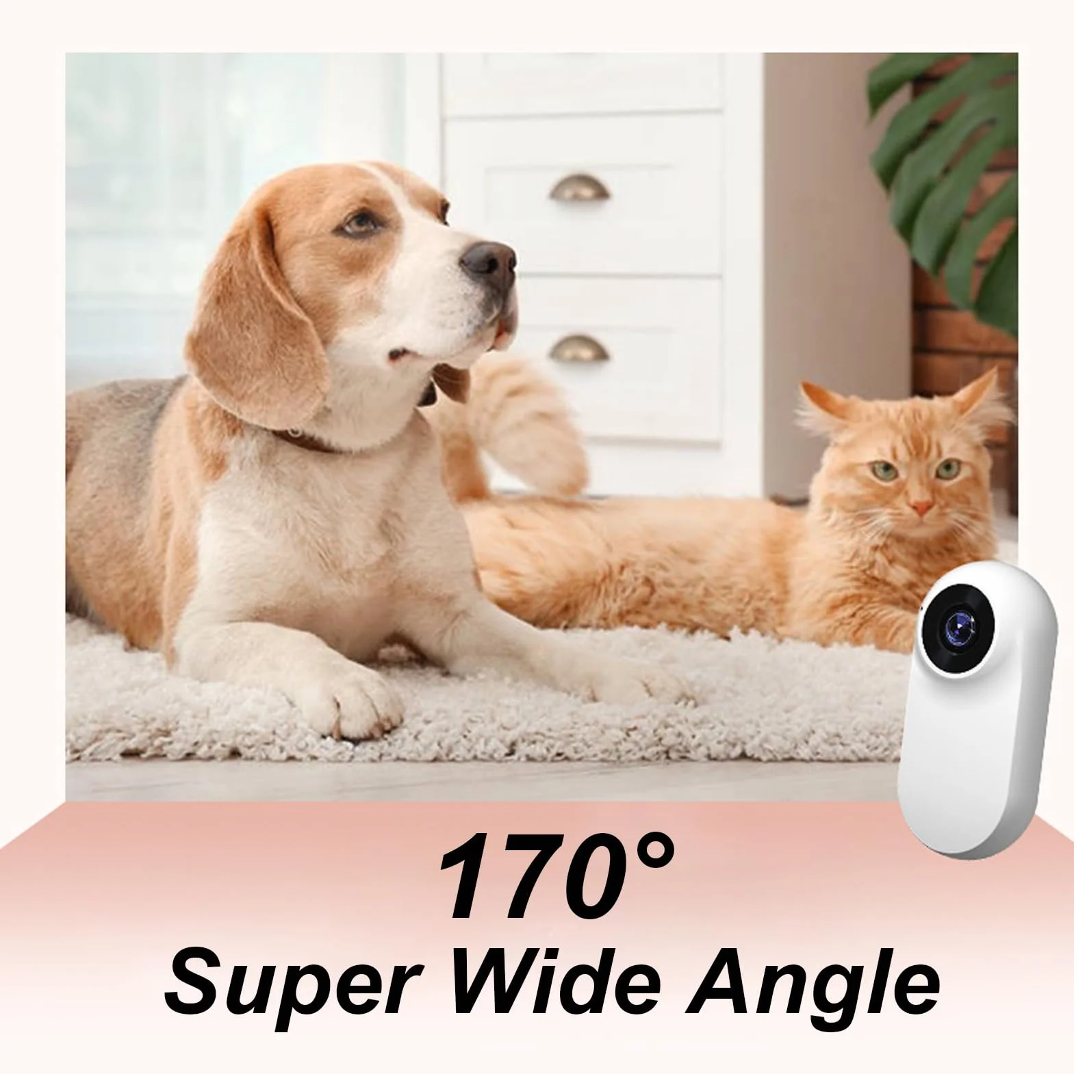 Kamera z obrożą dla zwierząt 1080P 170° szerokokątna USB ładowalna LCD