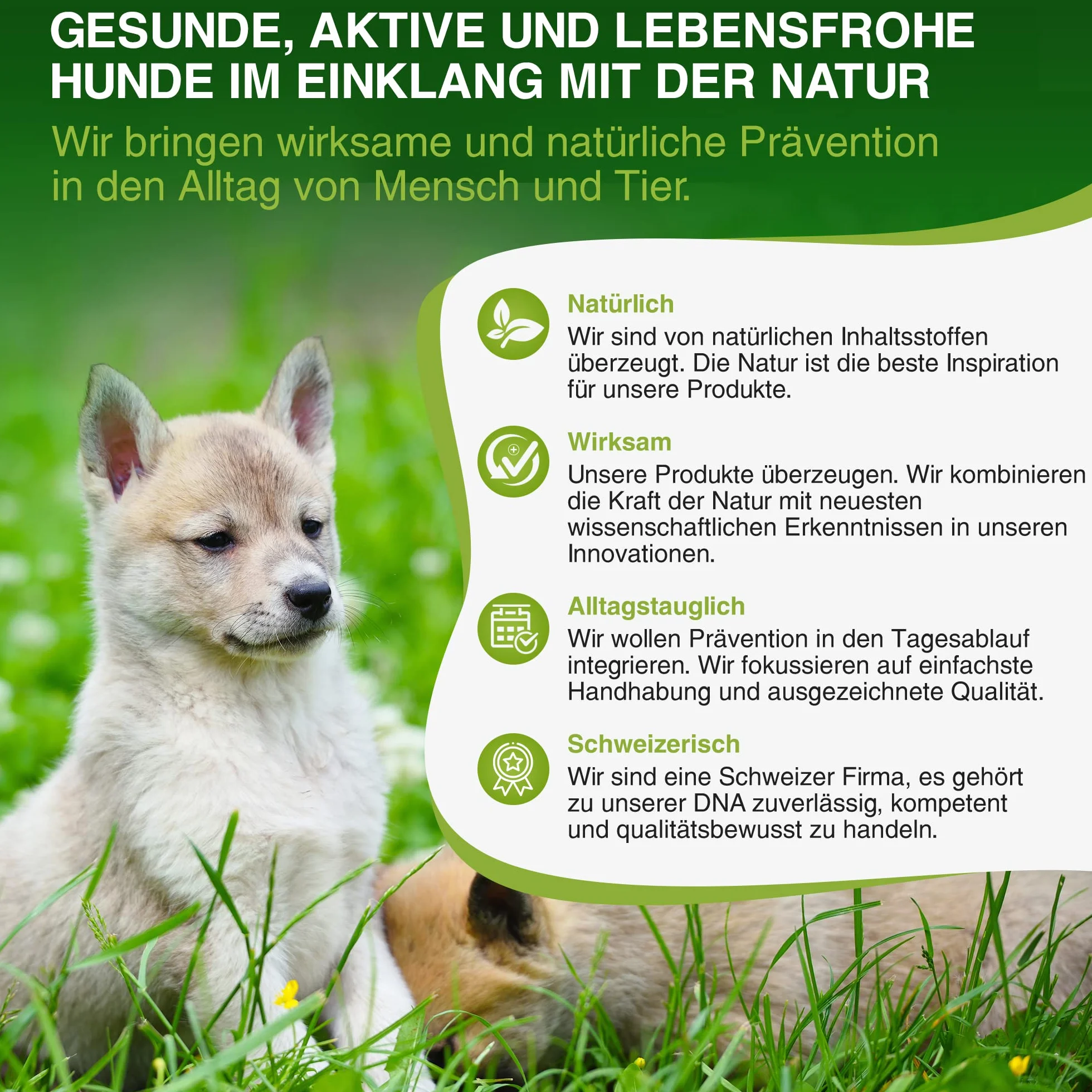 Bogaprotect Spot ON środek na pchły dla psów, naturalna ochrona przed kleszczami, XL (30-50 kg)