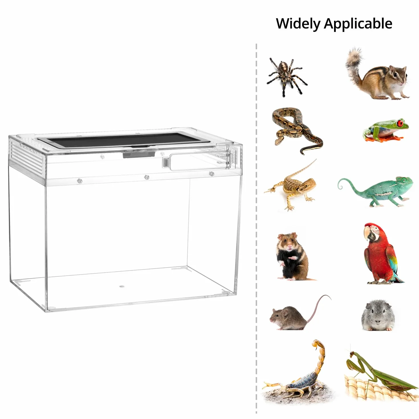 QWORK® Skrzynka do karmienia gadów, gad Growth pc terrarium, 30 * 18 * 22cm dla różnych gadów i owadów