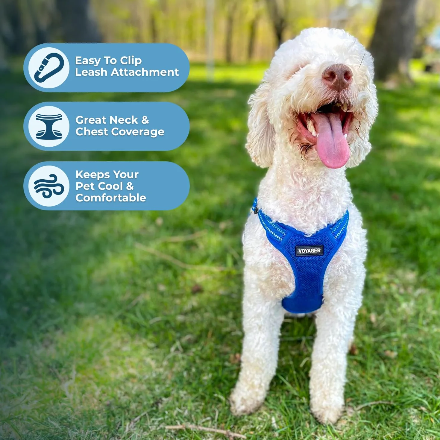 Best Pet Supplies Voyager Regulowane szelki dla psa z paskami odblaskowymi, kamizelka na całe ciało, bez ciągnięcia, oddychająca, uprząż