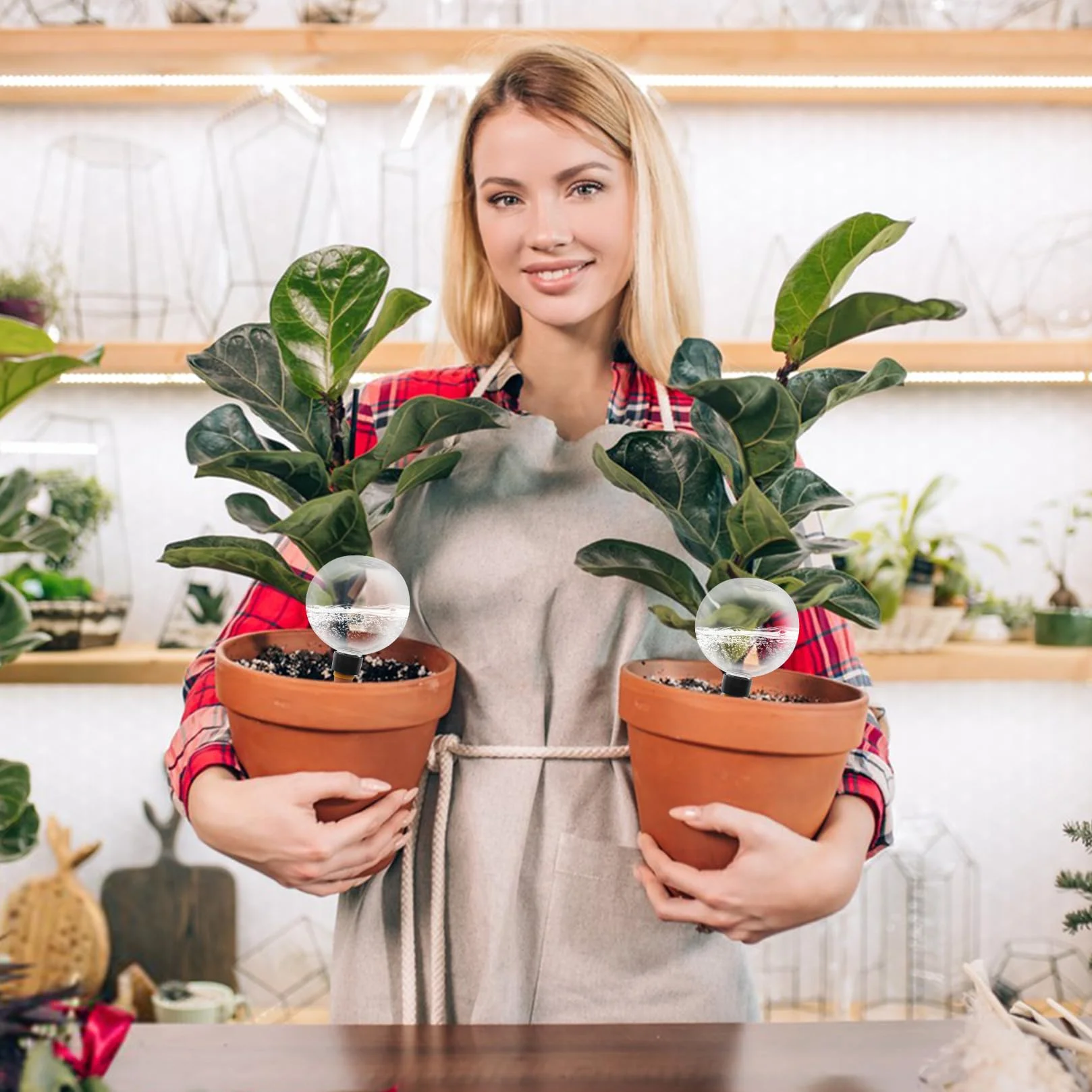 8 Sztuki Kulki Nawadniające Nawadnianie Roślin Doniczkowych Podajniki Wody Dla Roślin Rośliny Balkonowe I Ogrodowe Idealne Na Wakacje I Na Co Dzień (500 Ml)