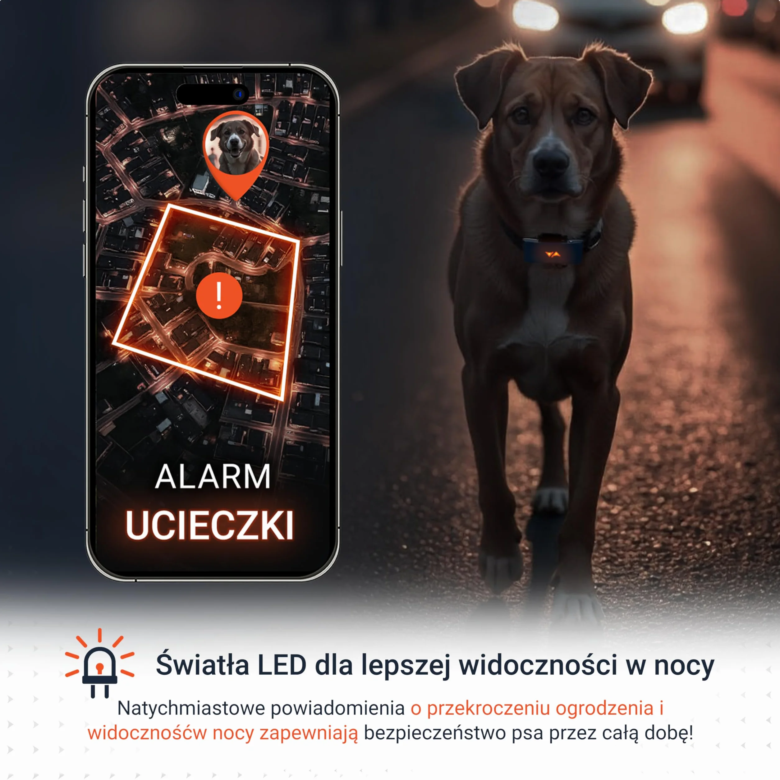 PAJ GPS Tracker dla Psów - 4G + 3-Miesięczny Abonament Premium W Cenie - Śledzenie GPS na Całym Świecie, Bateria do 10 Dni, LED, Wodoodporny, Pasuje do Wszystkich Obroży - Niebieski