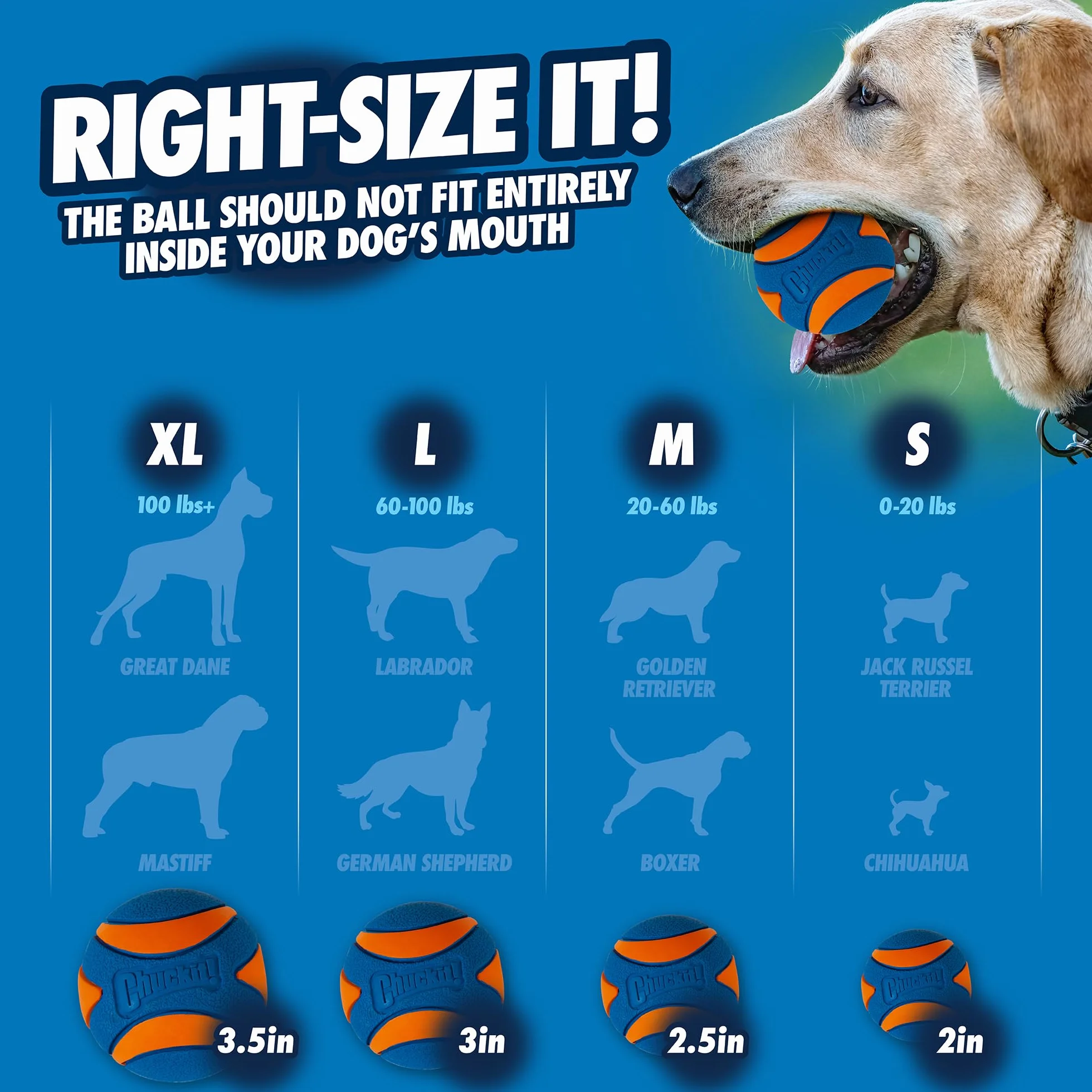 Chuckit! ! CH52068 Ultra Squeaker Ball Medium 1 szt