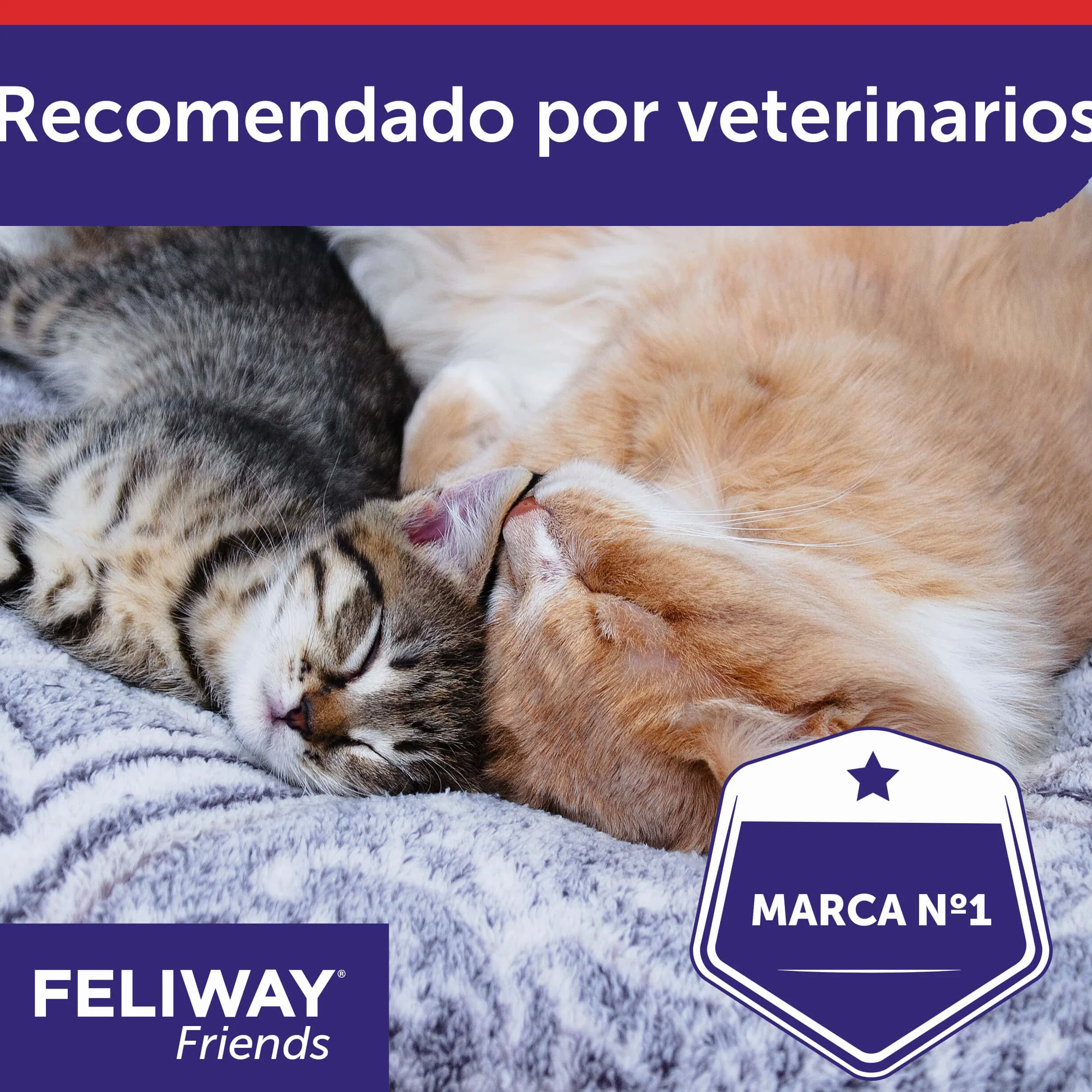 CEVA - Refill Feliway Friends