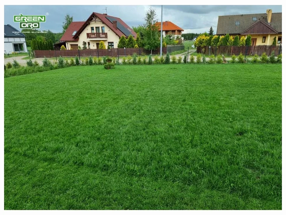 CHISSO SAI SEI 1,5KG - Regeneracyjny nawóz do trawników, wspierający zdrowy i gęsty wzrost trawy.