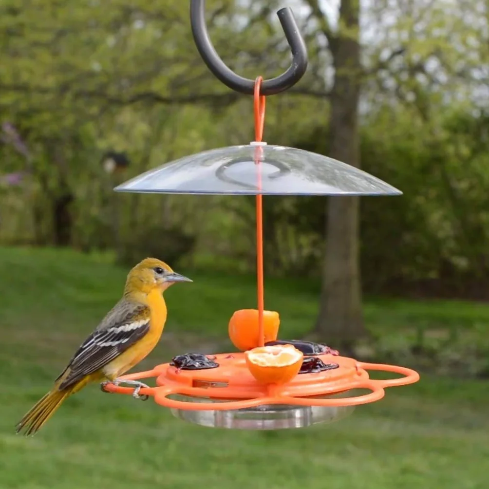 Nature's Way OFP1 All-in-One Oriole Buffet karmnik dla ptaków, pomarańczowy