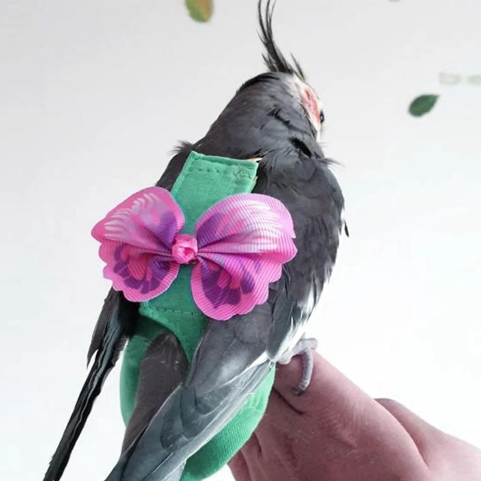 Smycz dla ptaków Soft Fashion - Pieluszki dla papug małych średnich