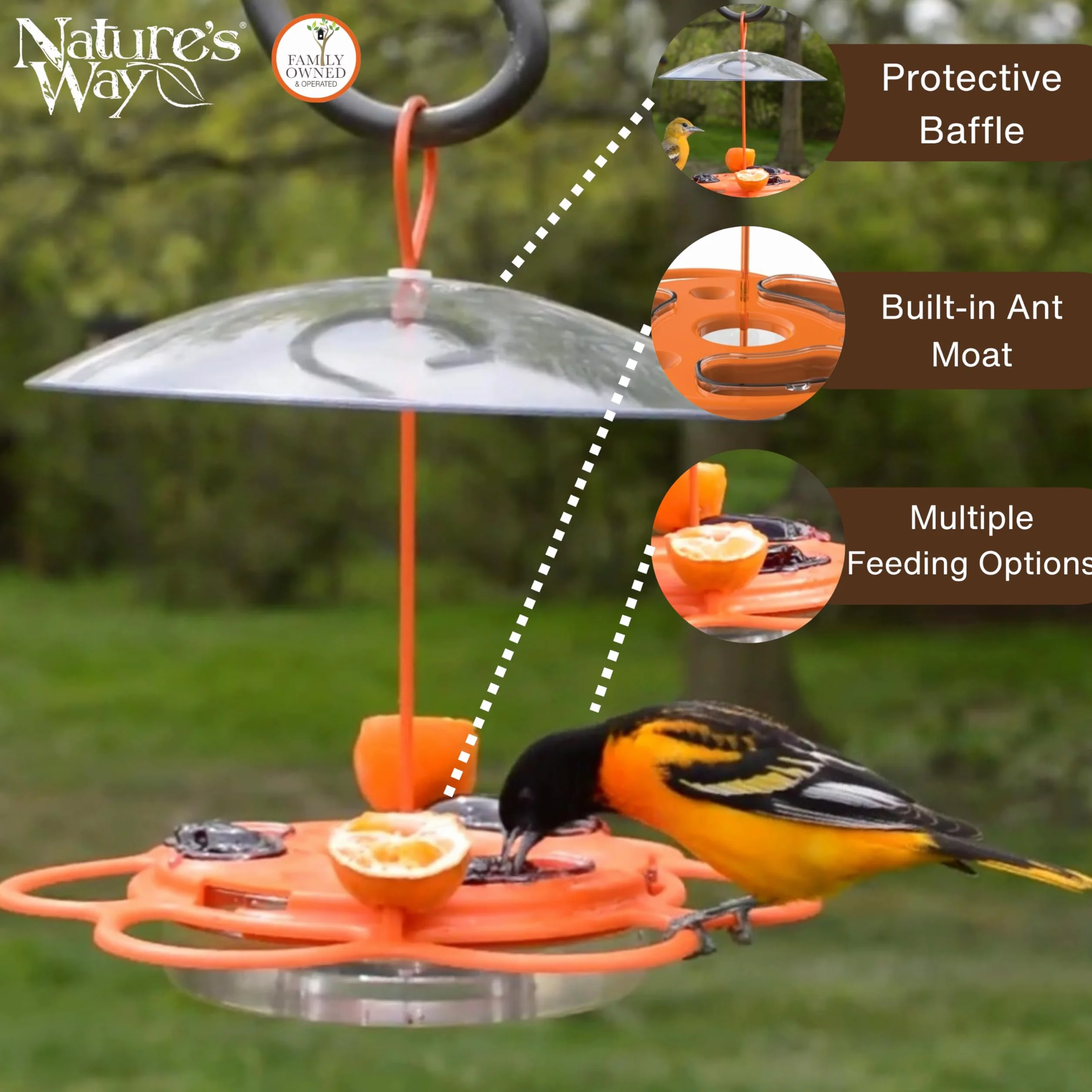 Nature's Way OFP1 All-in-One Oriole Buffet karmnik dla ptaków, pomarańczowy