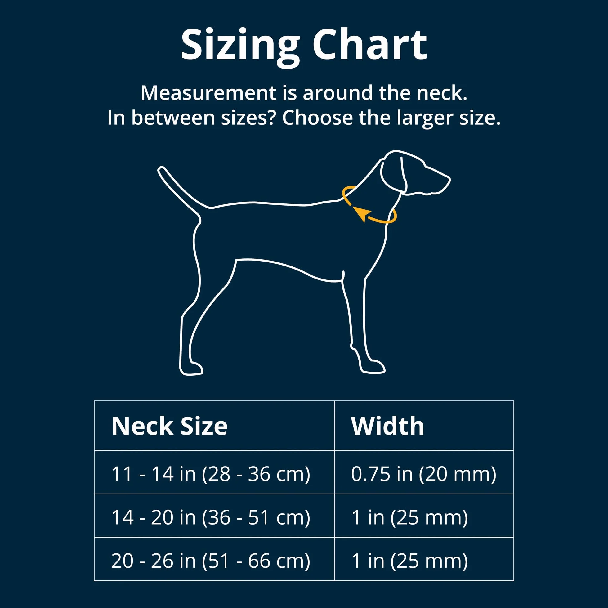 Ruffwear Średnia obroża dla psa z przodu, z aluminiowym pierścieniem w kształcie litery V, wygodna i mocna, z boczną klamrą i taśmą, do spacerów z psem, rozmiar M (36-51 cm), dziki kwiat