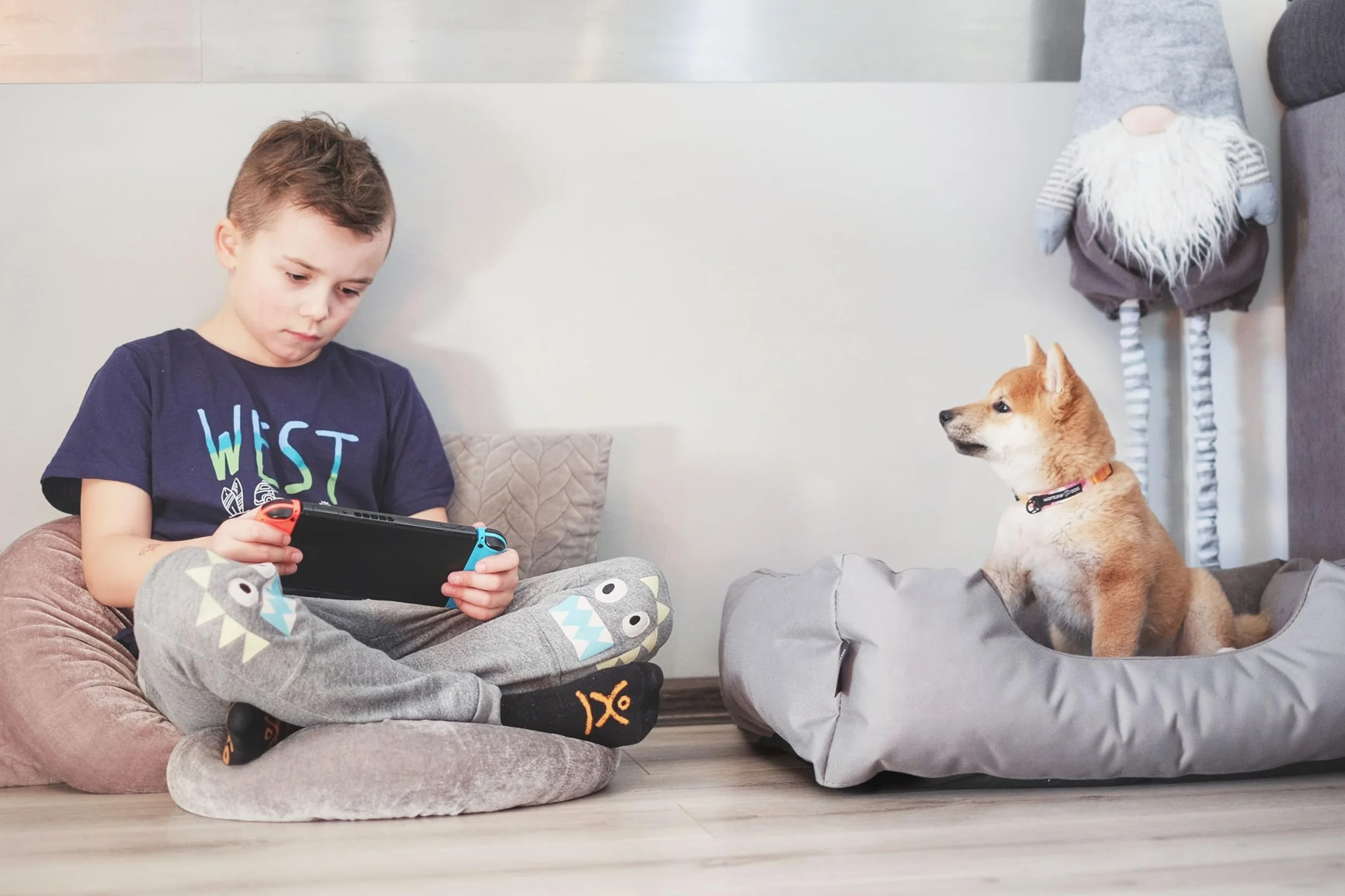 BedDog Legowisko ZARA, Sofa dla Psa z Cordury, Mikrofibra Welurowa, Zmywalne z Brzegiem, Do Domu i Na Zewnątrz, L, Pink-York (Różowy)