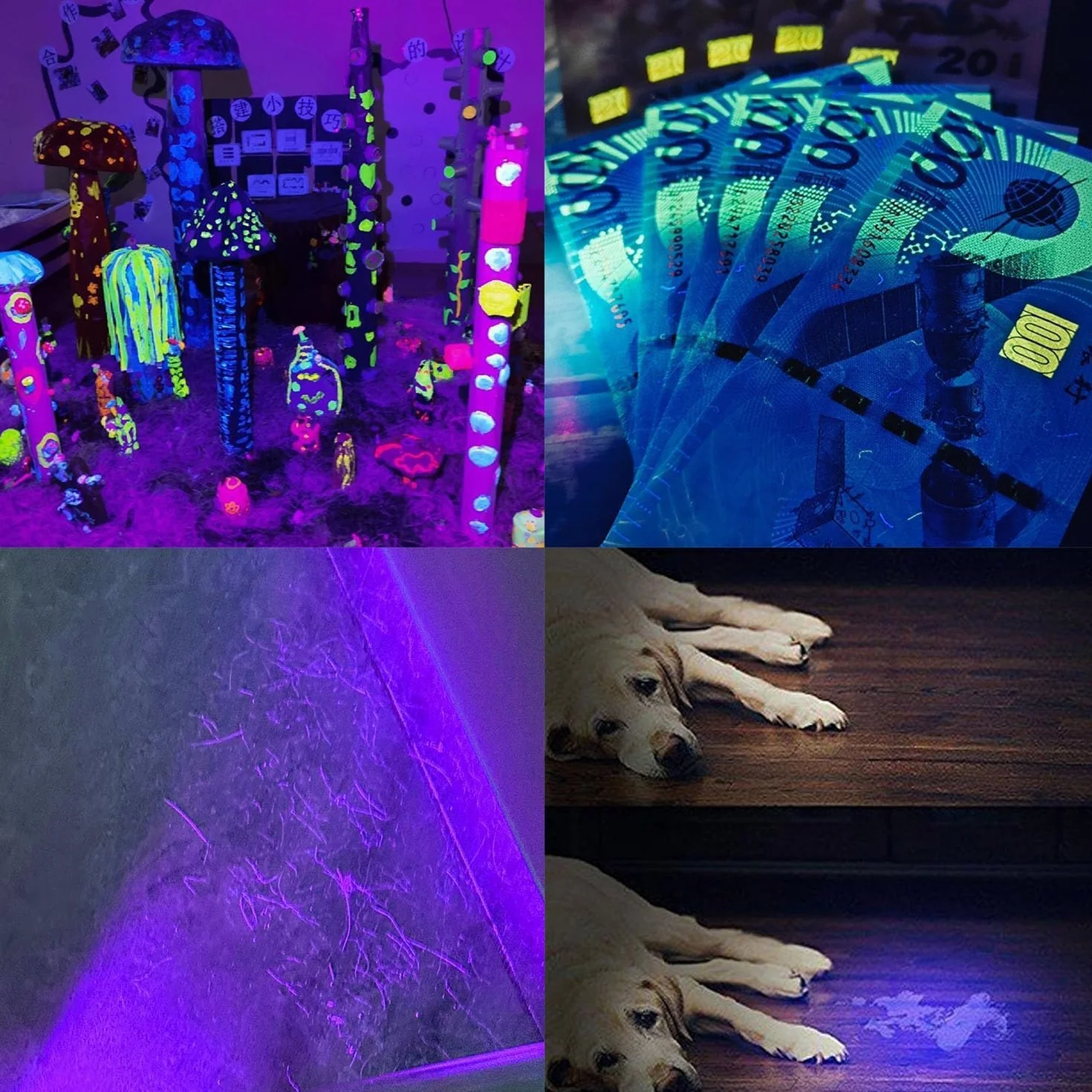 Latarka UV, latarka ultrafioletowa LED 395 nm, wykrywacz czarnego światła do moczu zwierząt domowych, plam, pluskiew, domu, hotelu i innych. 2 baterie AAA (brak w zestawie).