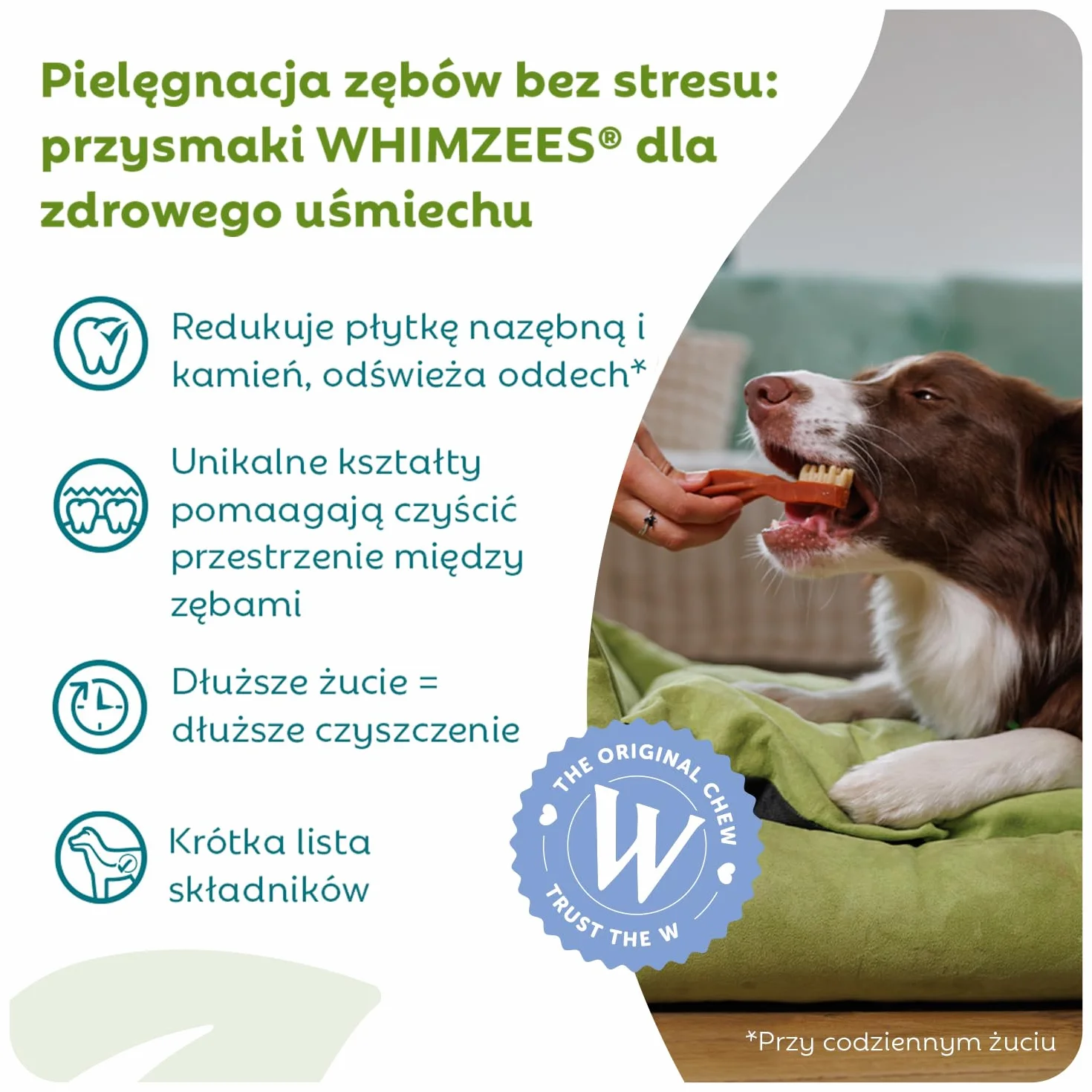 WHIMZEES Szczoteczka S 24 Sztuk Gryzaki Dentystyczne dla Małych Psów Naturalne Bezzbożowe