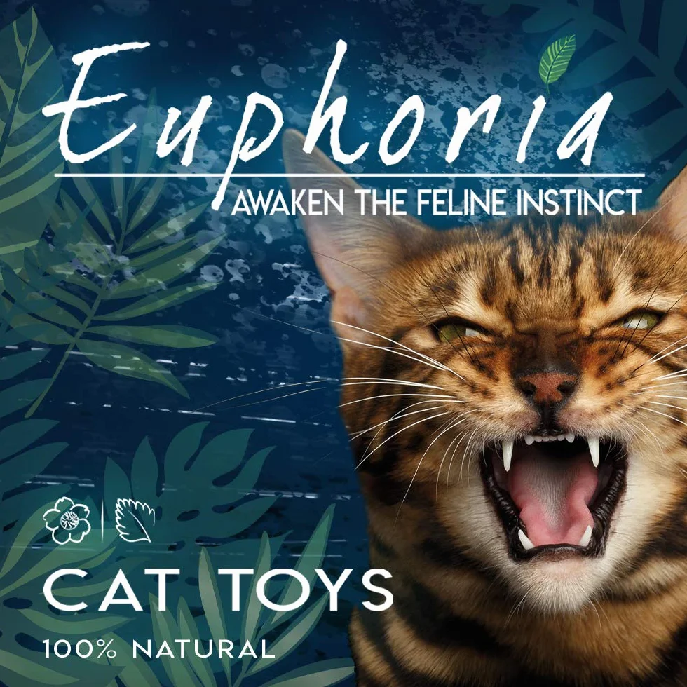 Croci Euphoria Suszona trawa kocimiętka naturalna 25 g