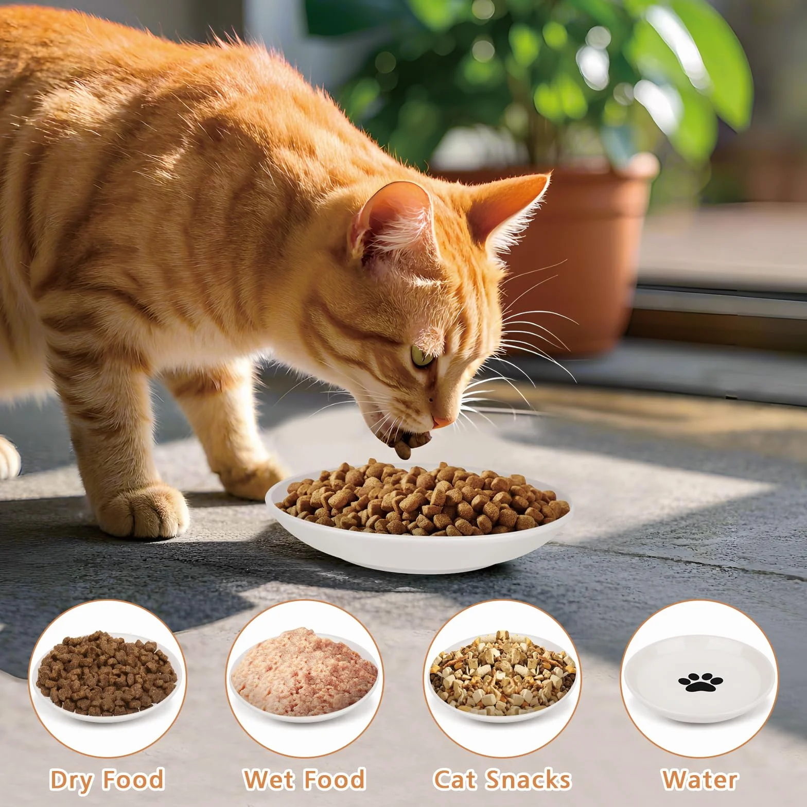 TRUEIN Ceramiczna miska dla kota, 3-częściowa miska dla kota, płaskie miski dla kota, karma dla kota, łagodzi zmęczenie Whiskers, talerz dla kota dla psa, do suchej lub mokrej karmy i wody